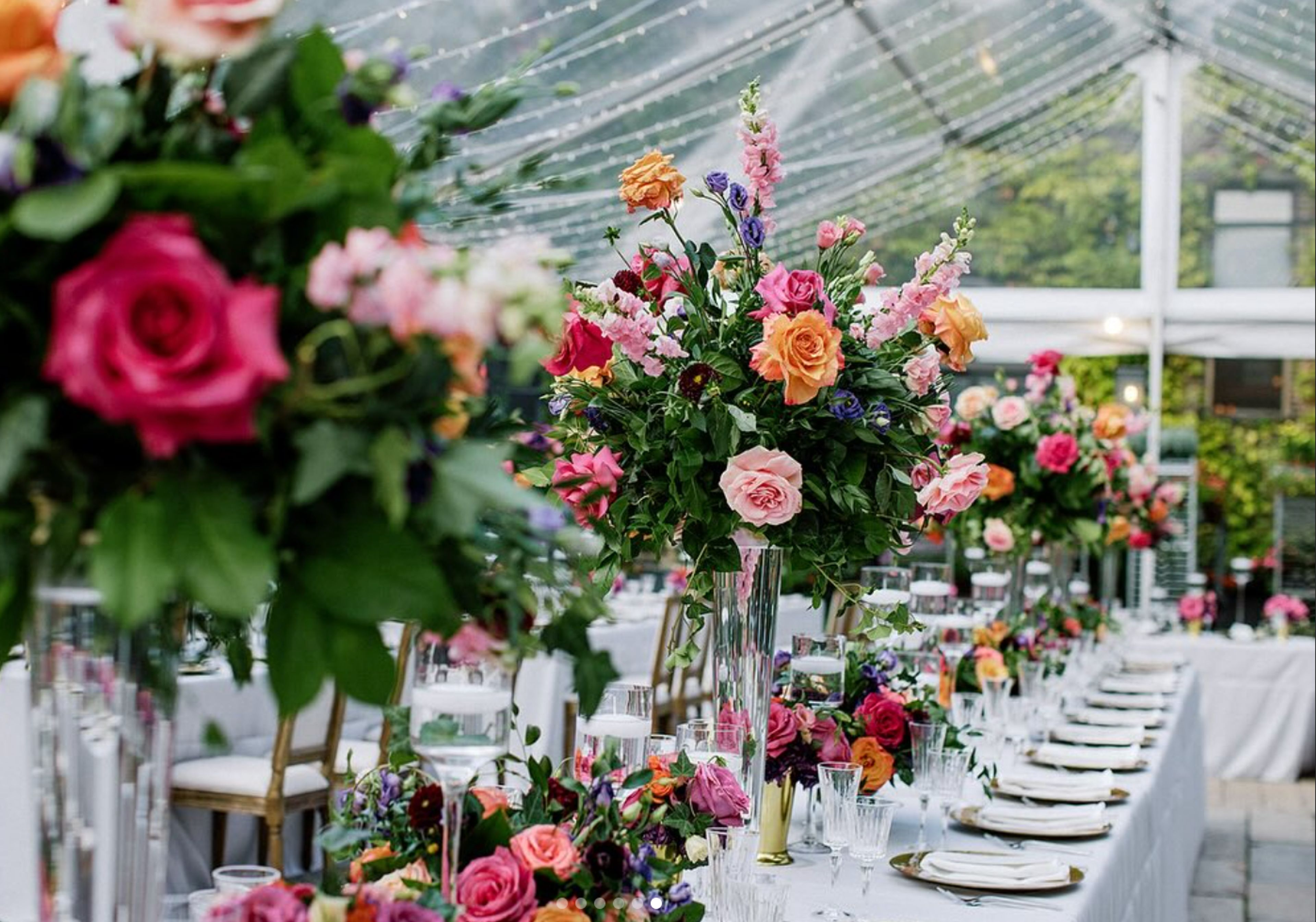 Cover photo of QG Floral+Landscape