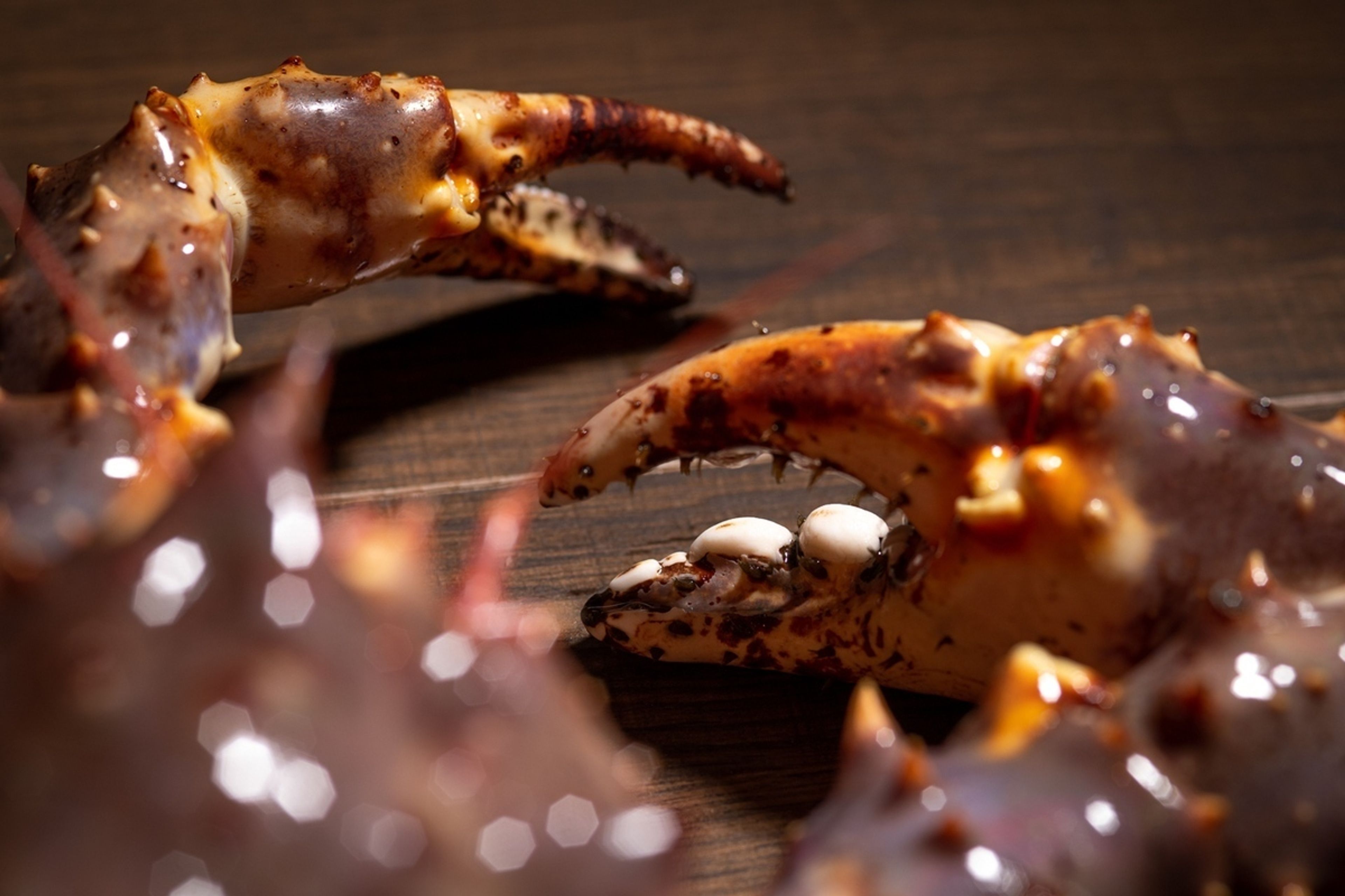 Cover photo of Klaw Miami