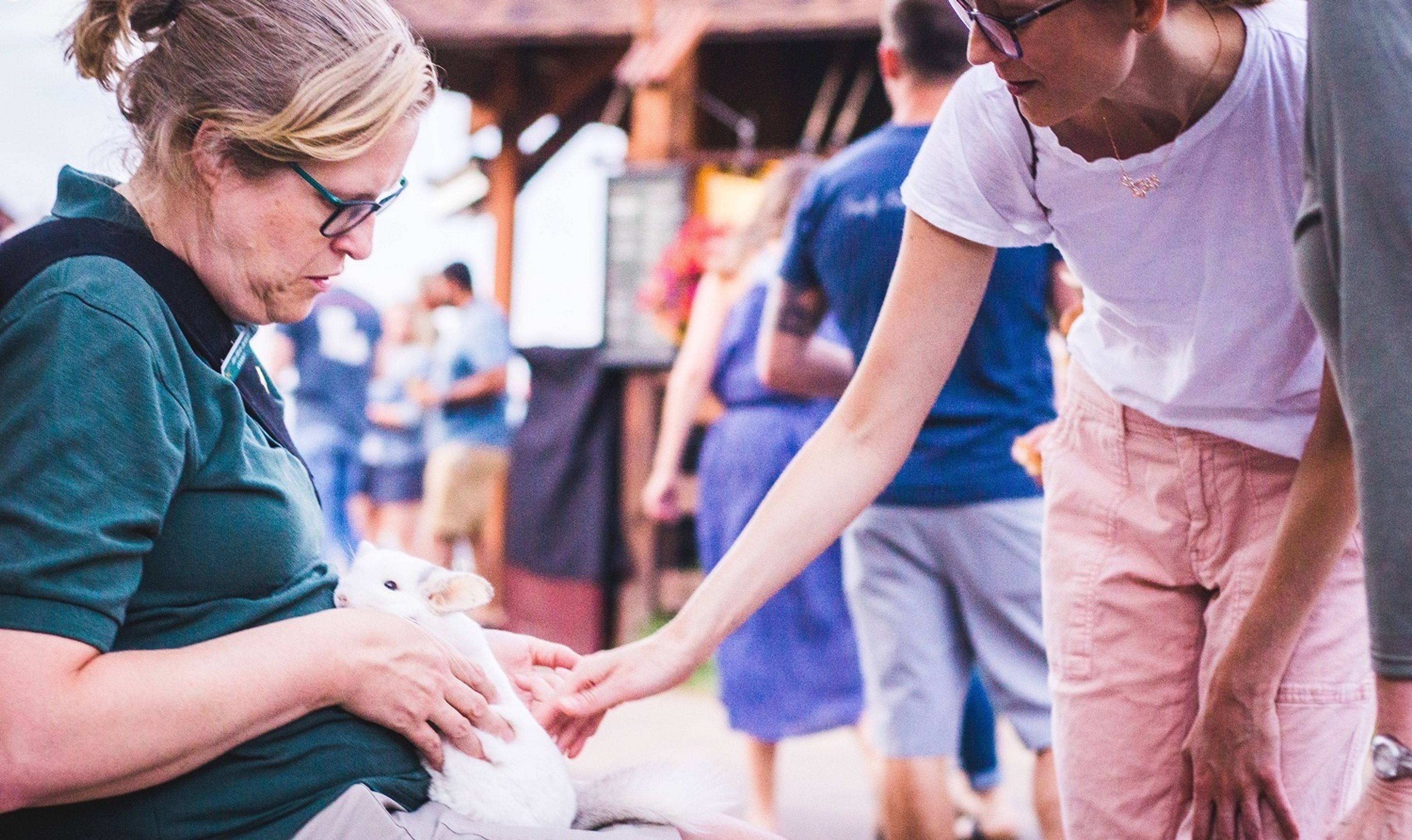 Cover photo of Cheyenne Mountain Zoo