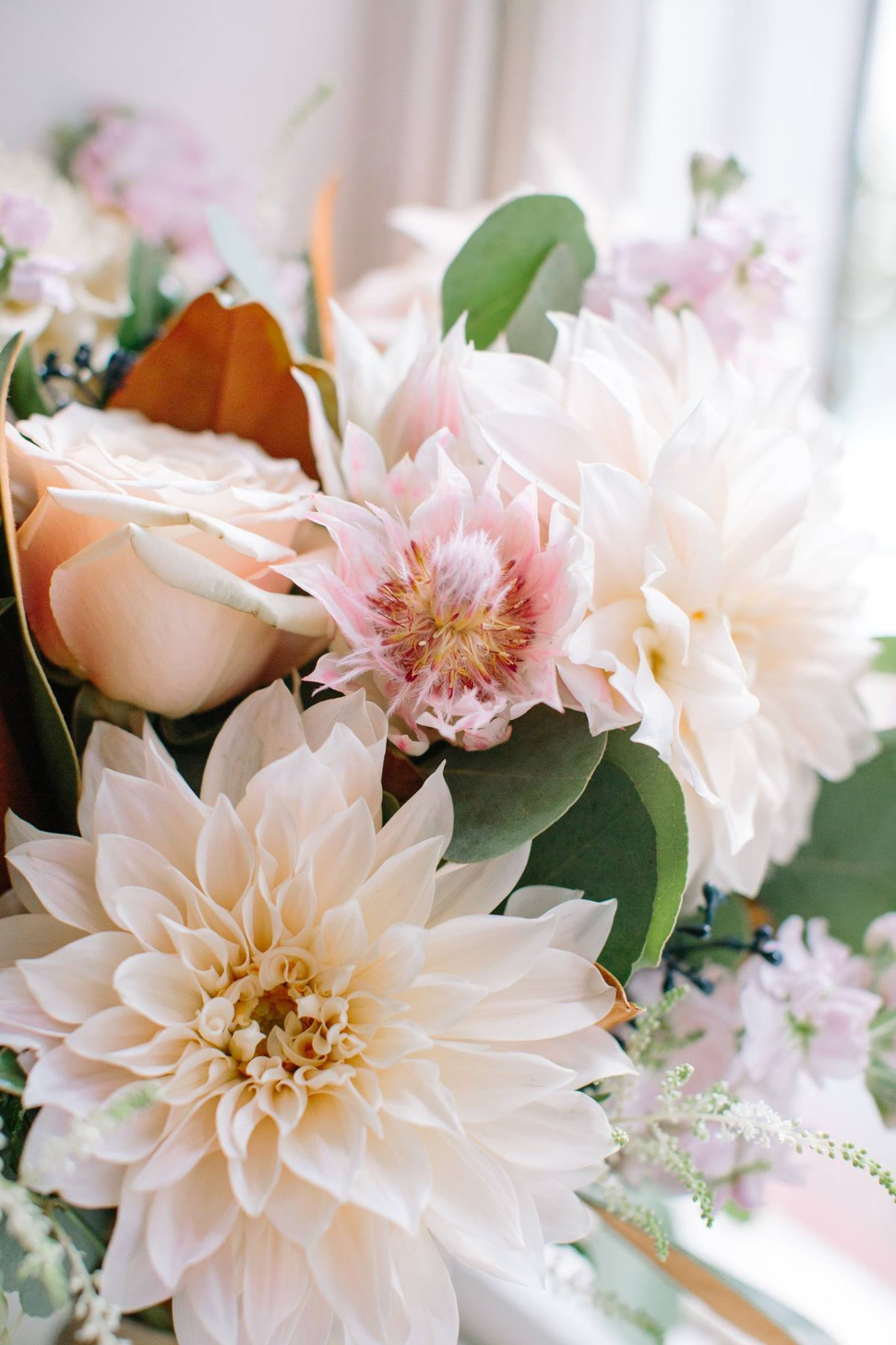 Cover photo of Fresh Weddings