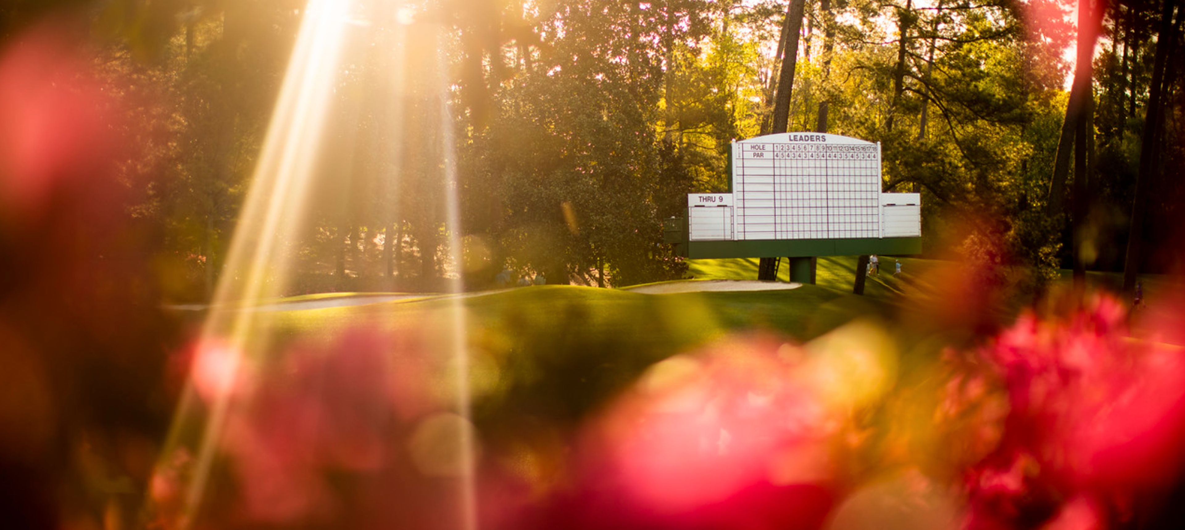 Cover photo of Adam Glanzman