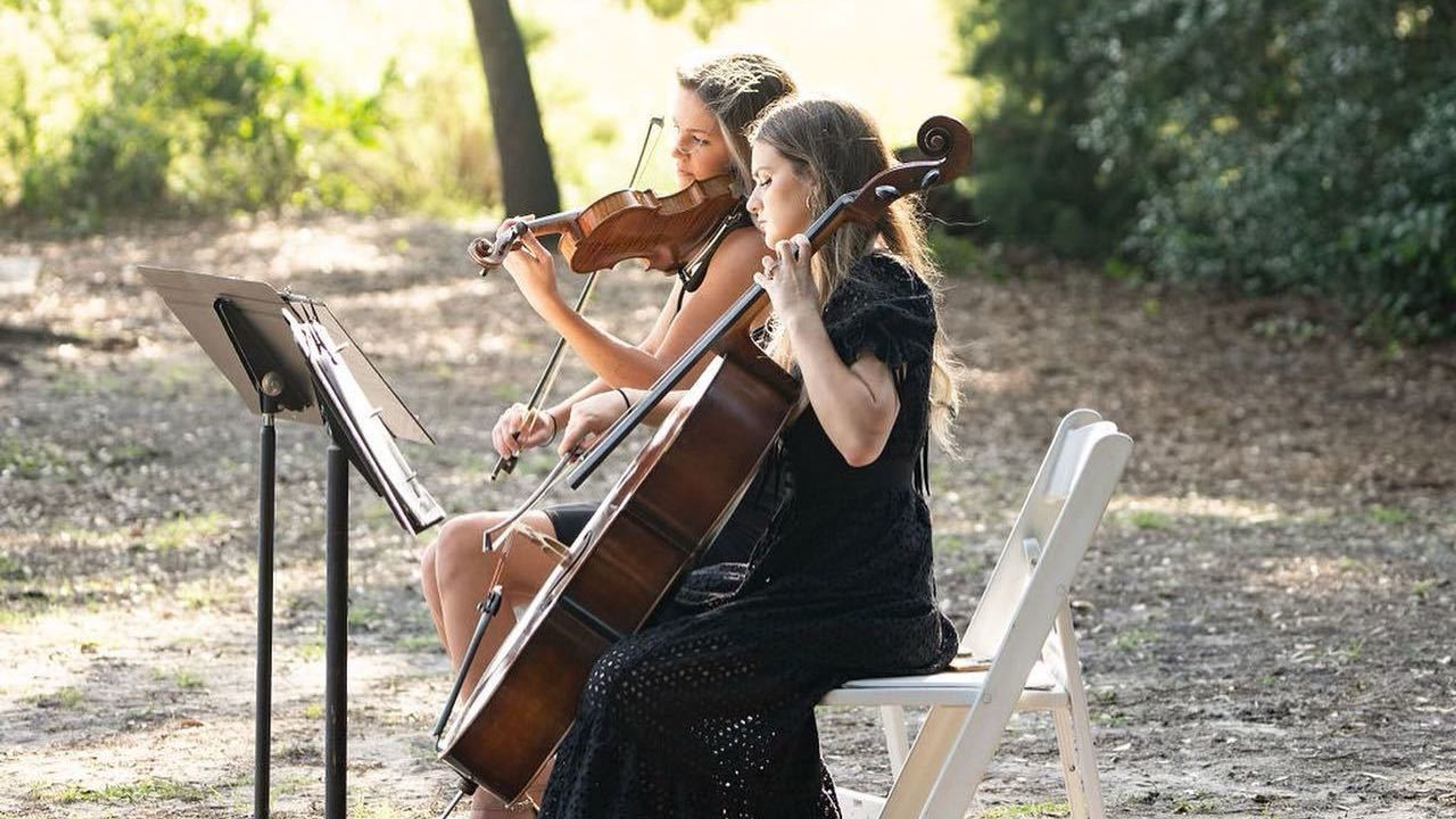 Cover photo of Holy City Strings