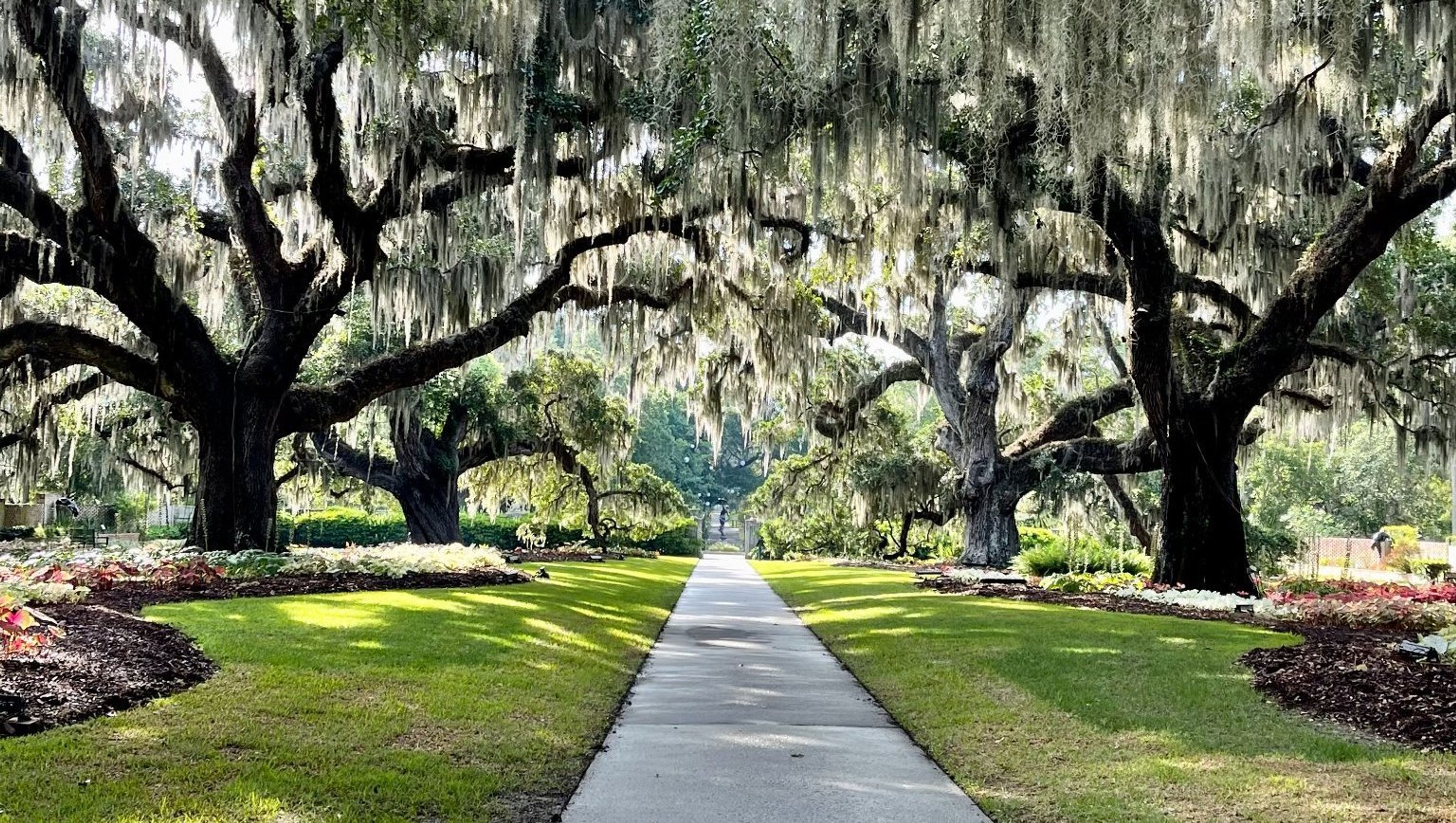 Cover photo of Brookgreen Gardens