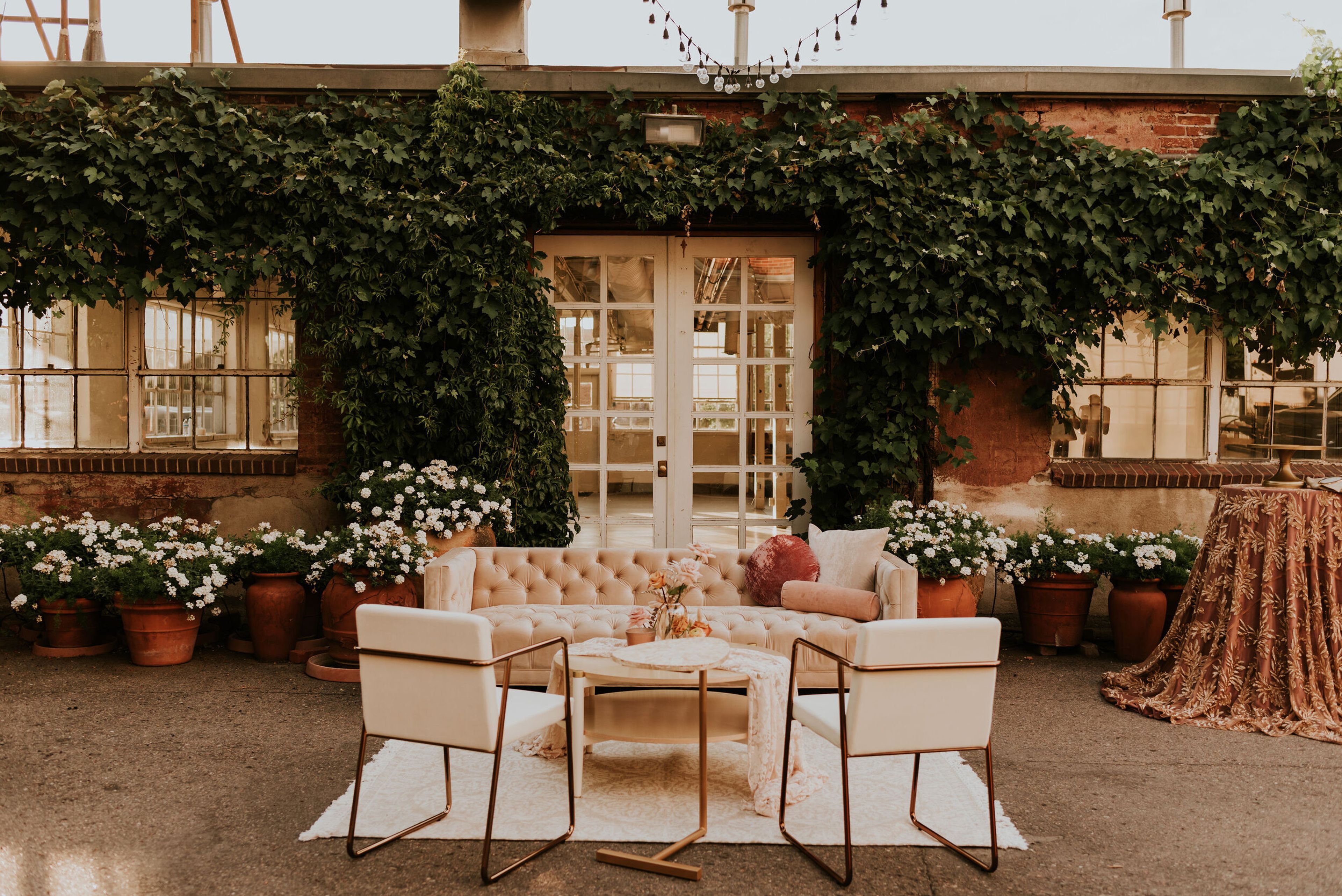 Cover photo of Hazel Grove