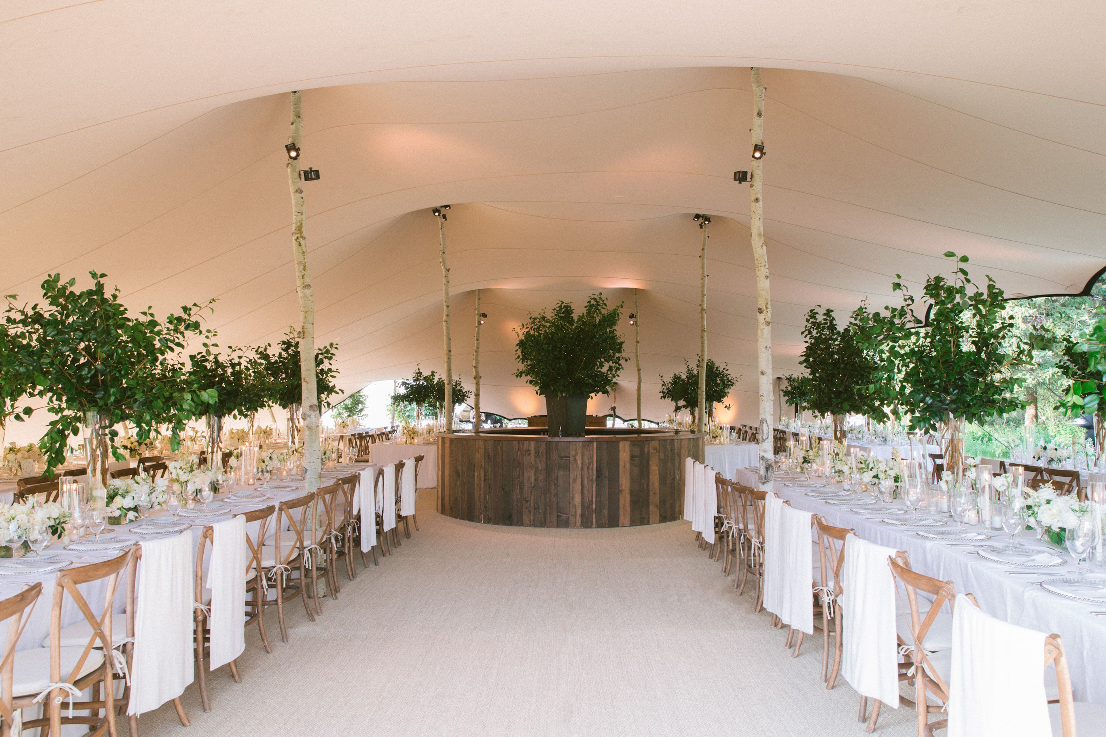 Cover photo of Tentrix