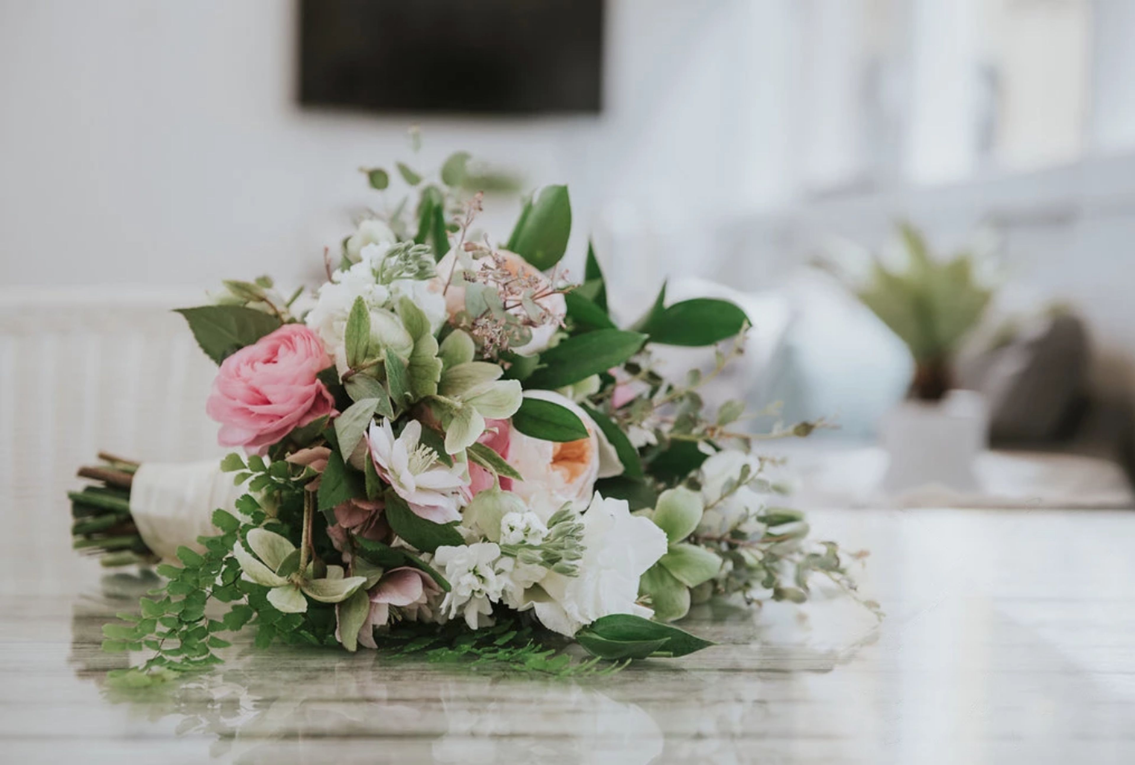 Cover photo of The Blooming Bud