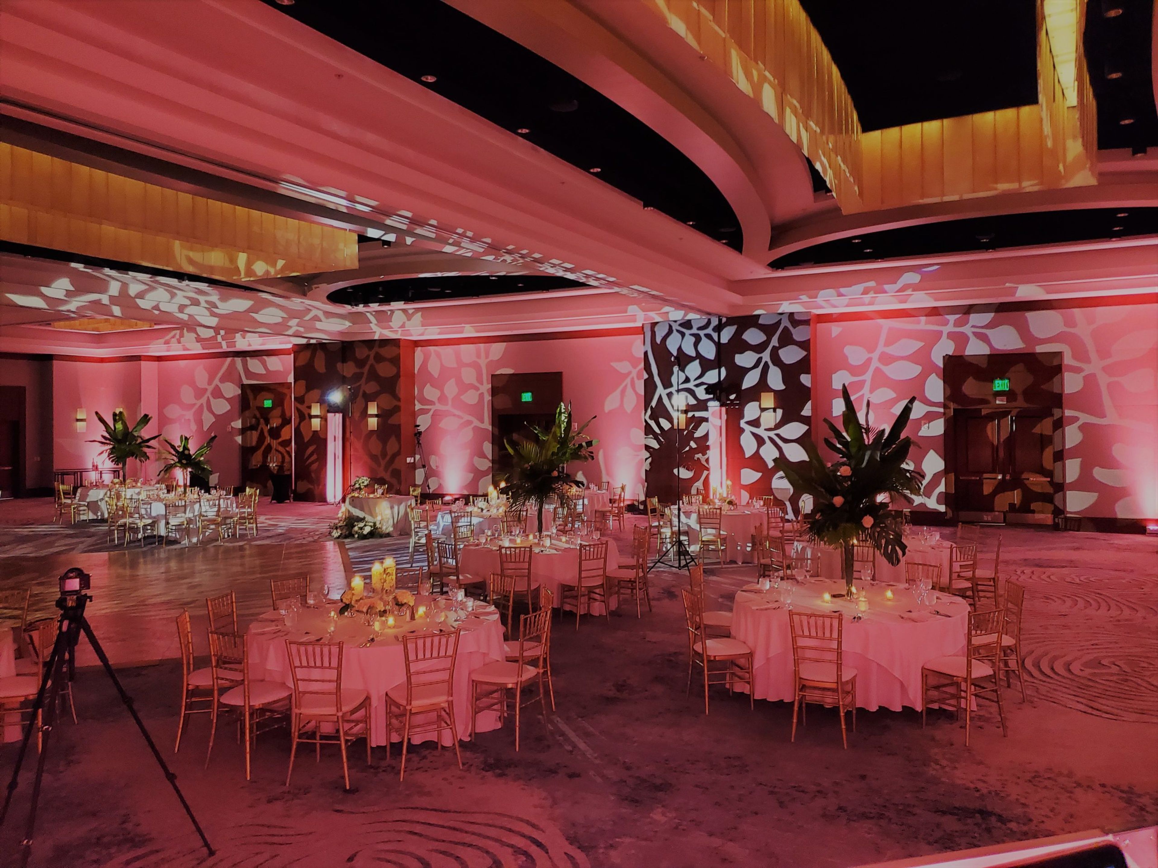 Cover photo of Dudha Productions