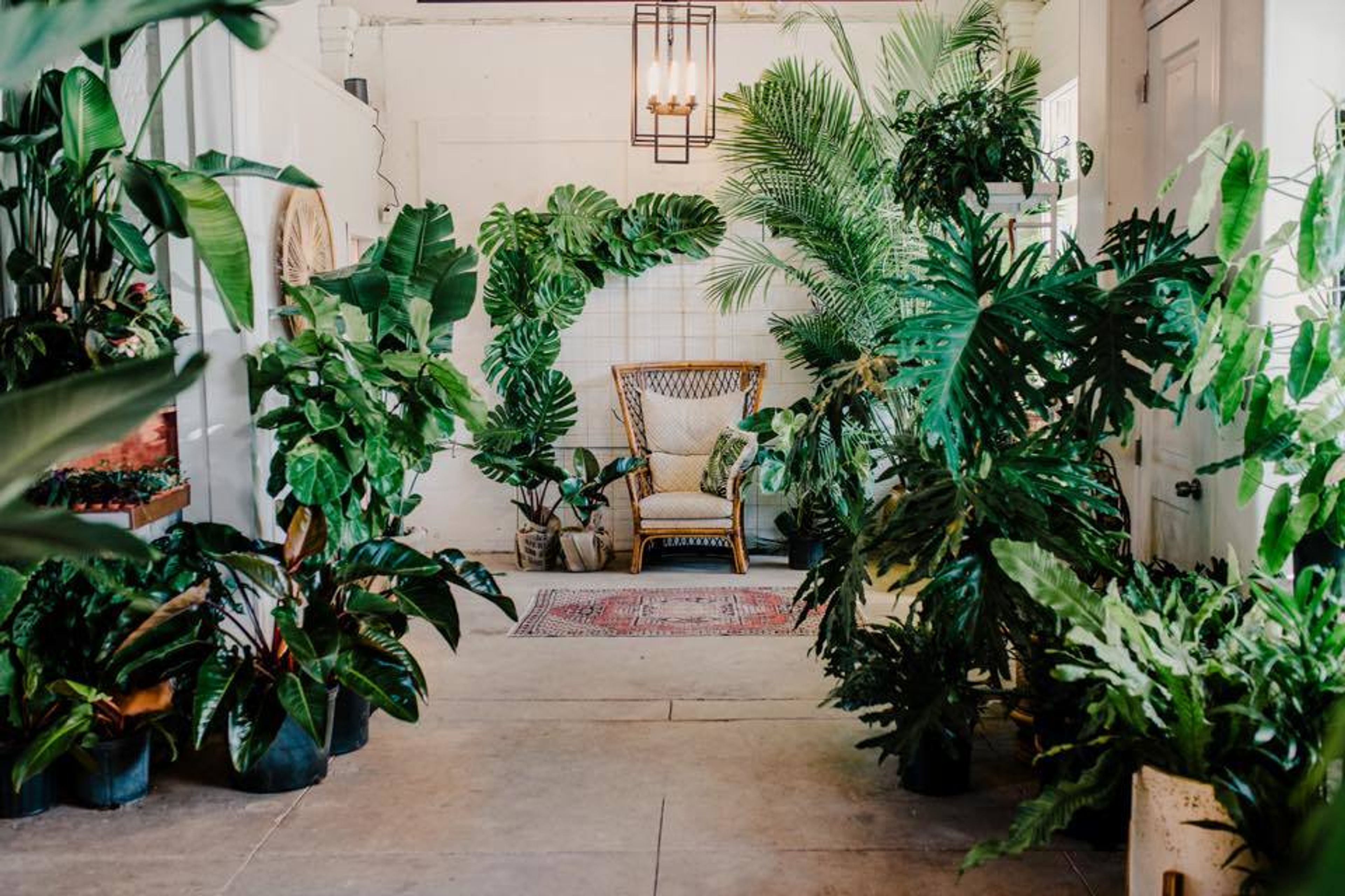 Cover photo of Fancy Free Nursery