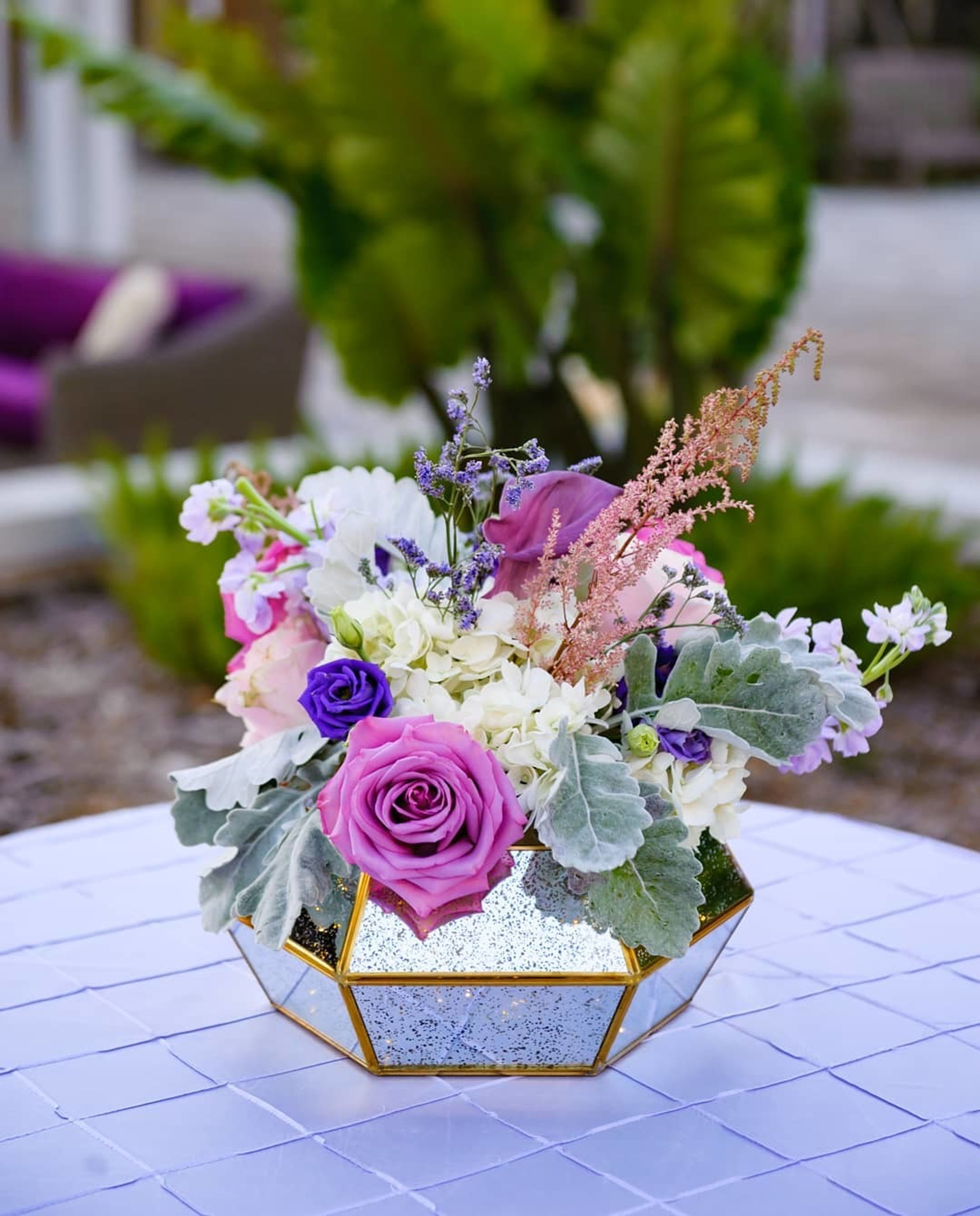 Cover photo of Nikun Events