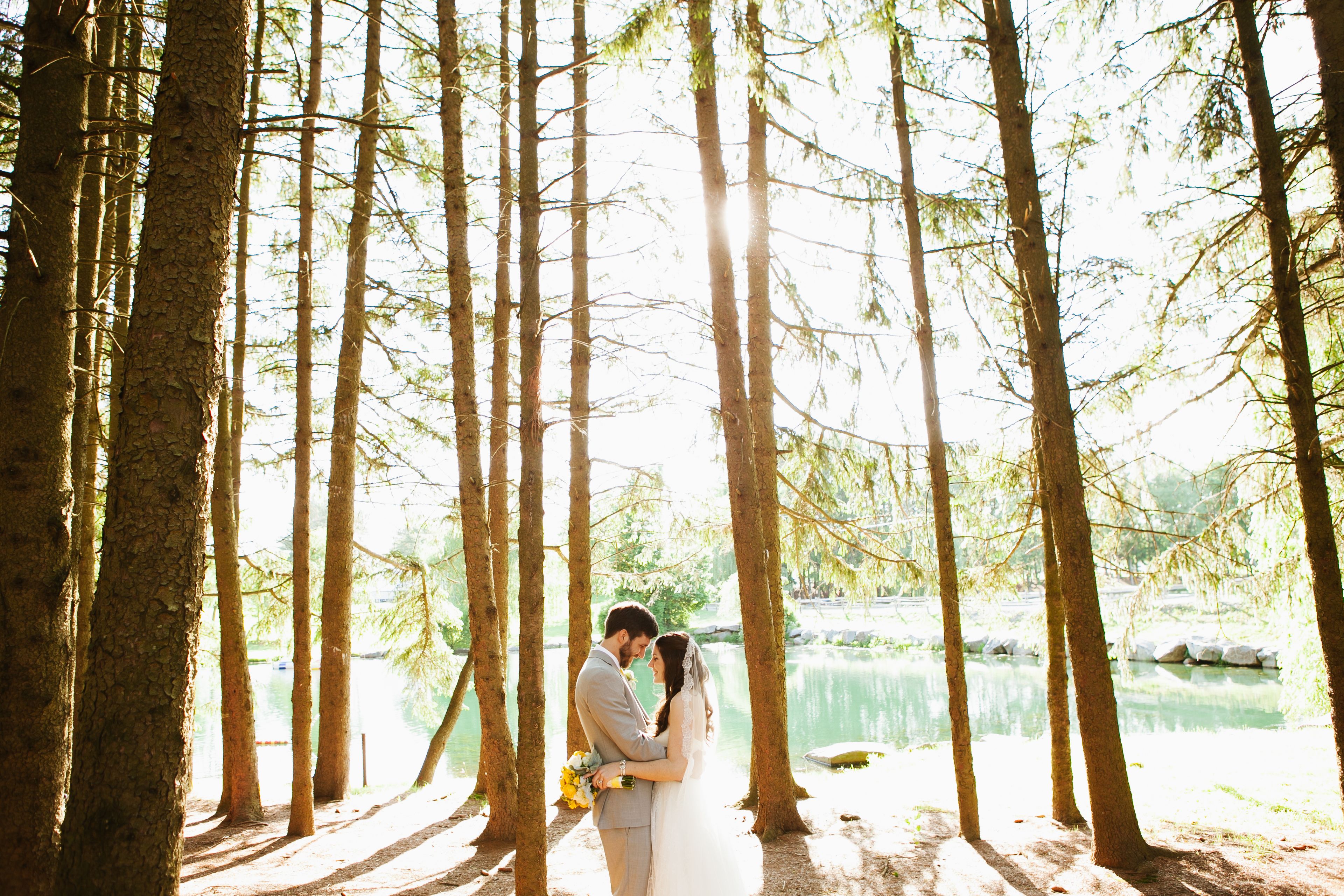 Cover photo of Levi Stolove Photography