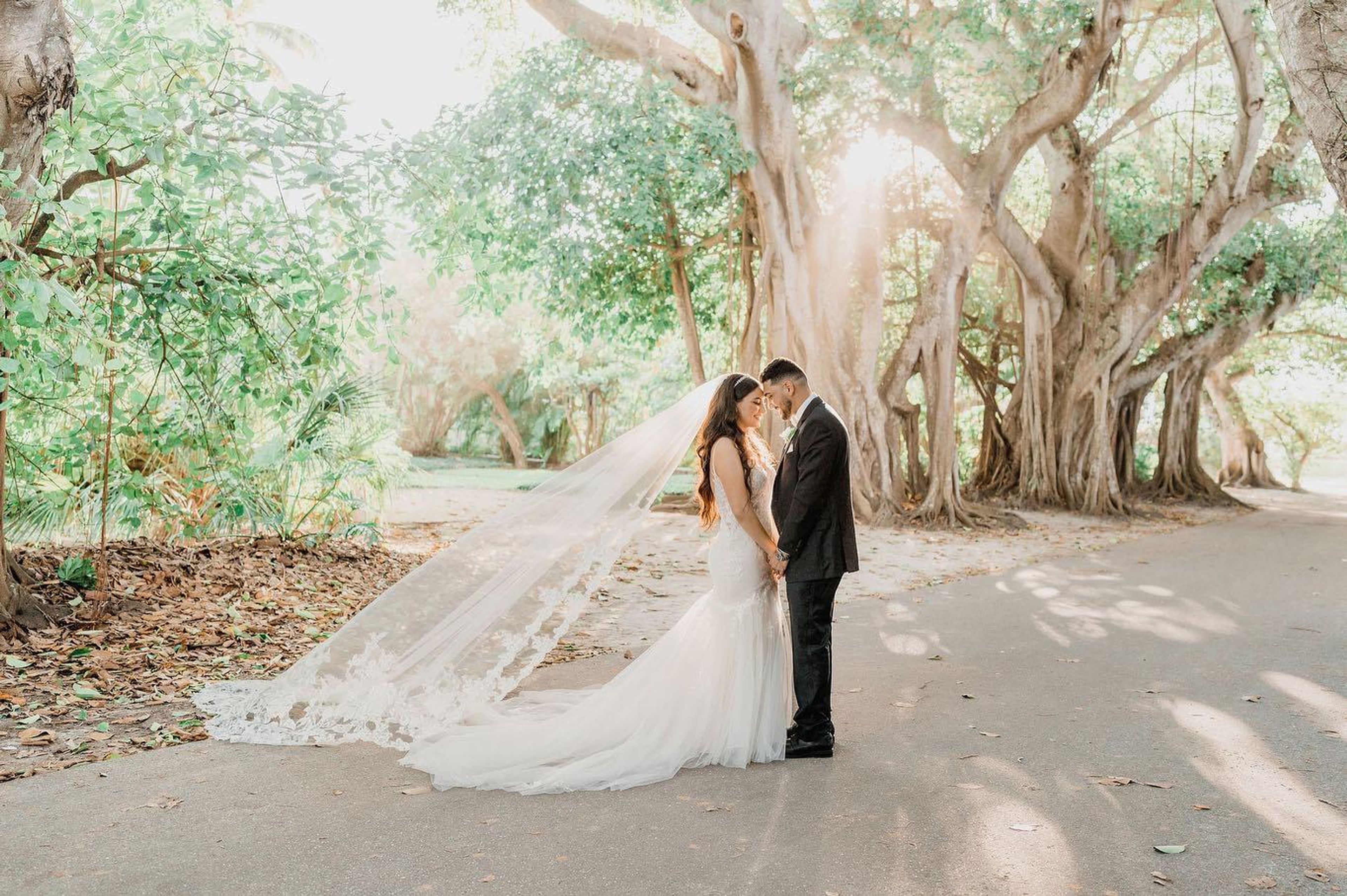 Cover photo of Tara Tomlinson