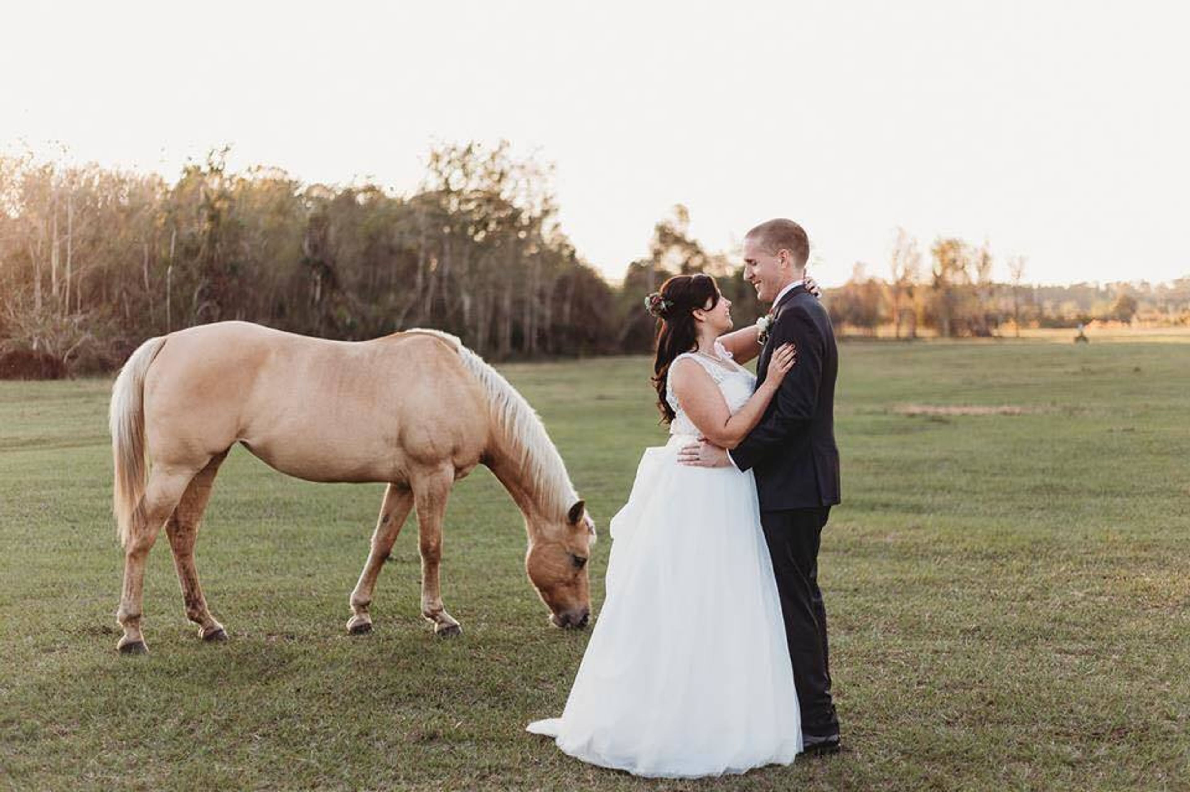 Cover photo of Hastings Ranch & Farm