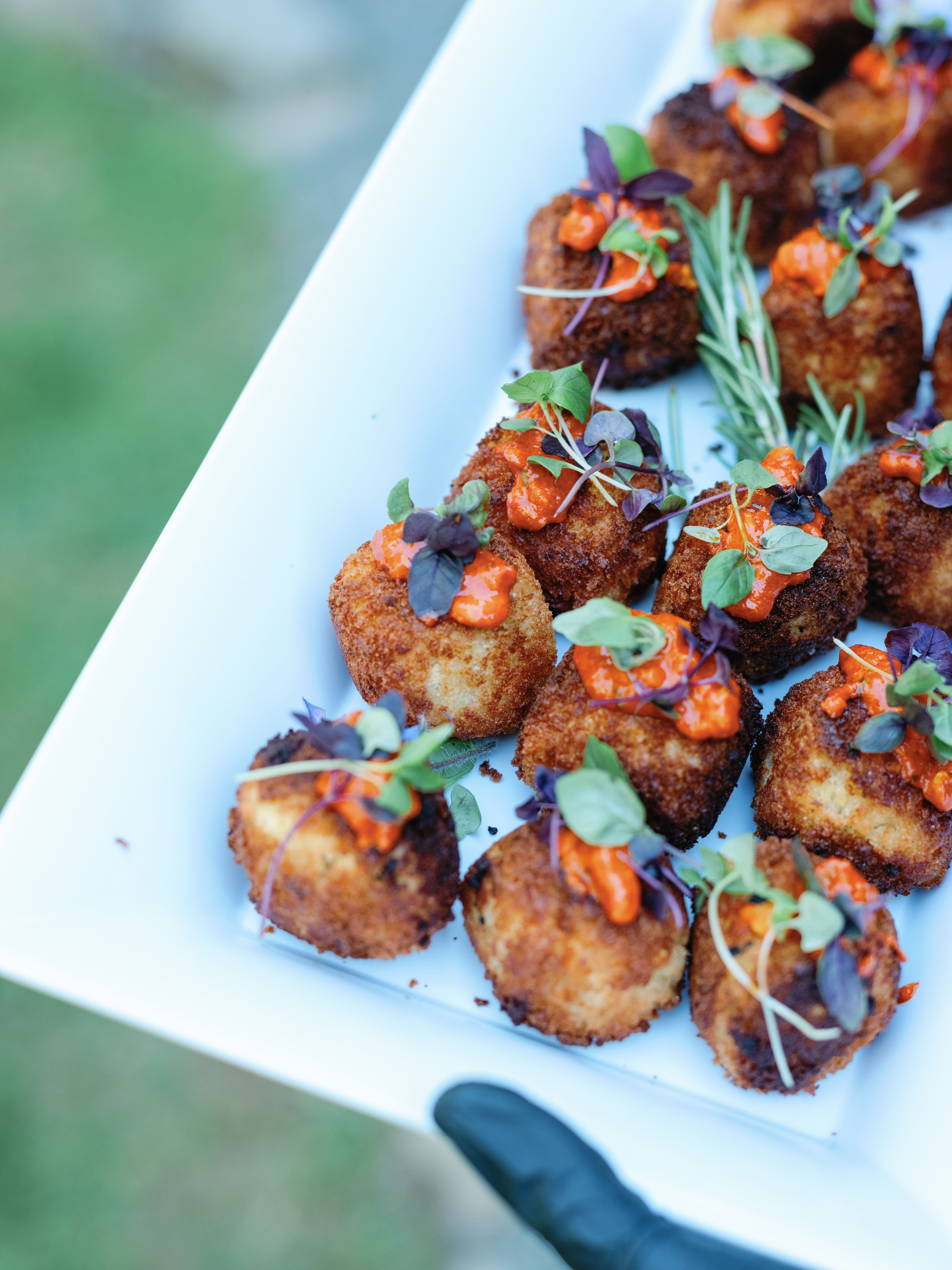 Cover photo of Terra Tovela