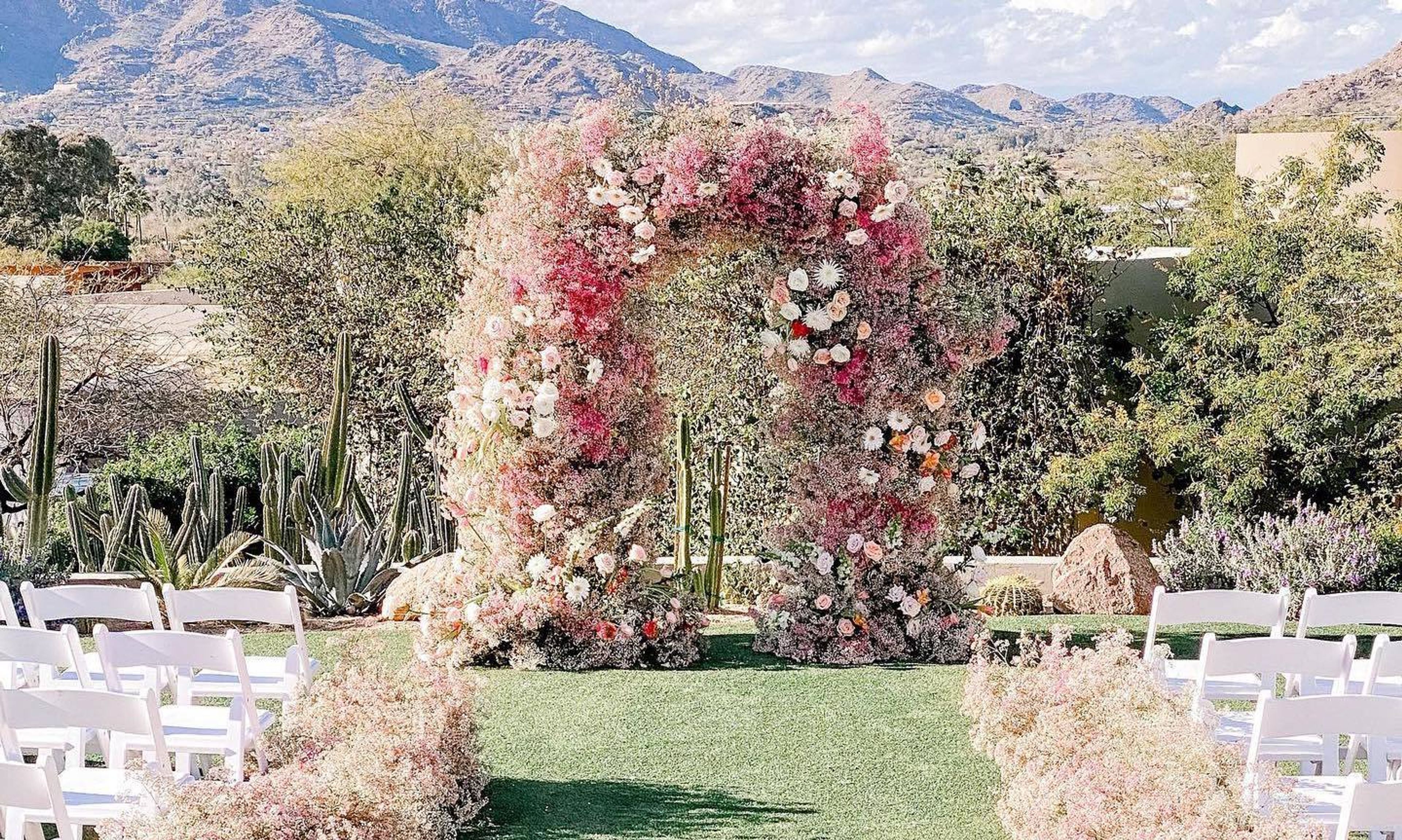 Cover photo of Callarose & Co