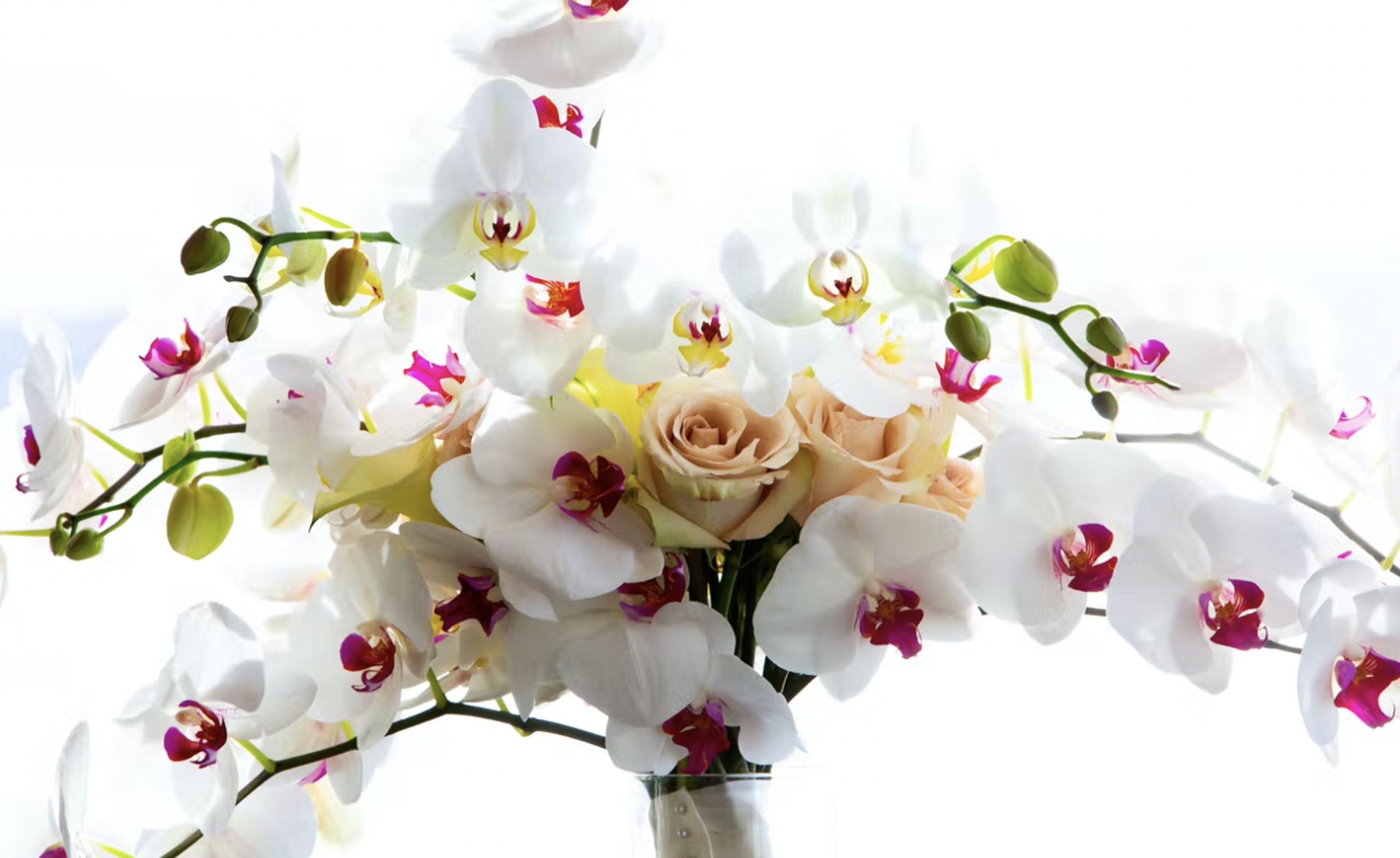 Cover photo of Fleurish Seattle