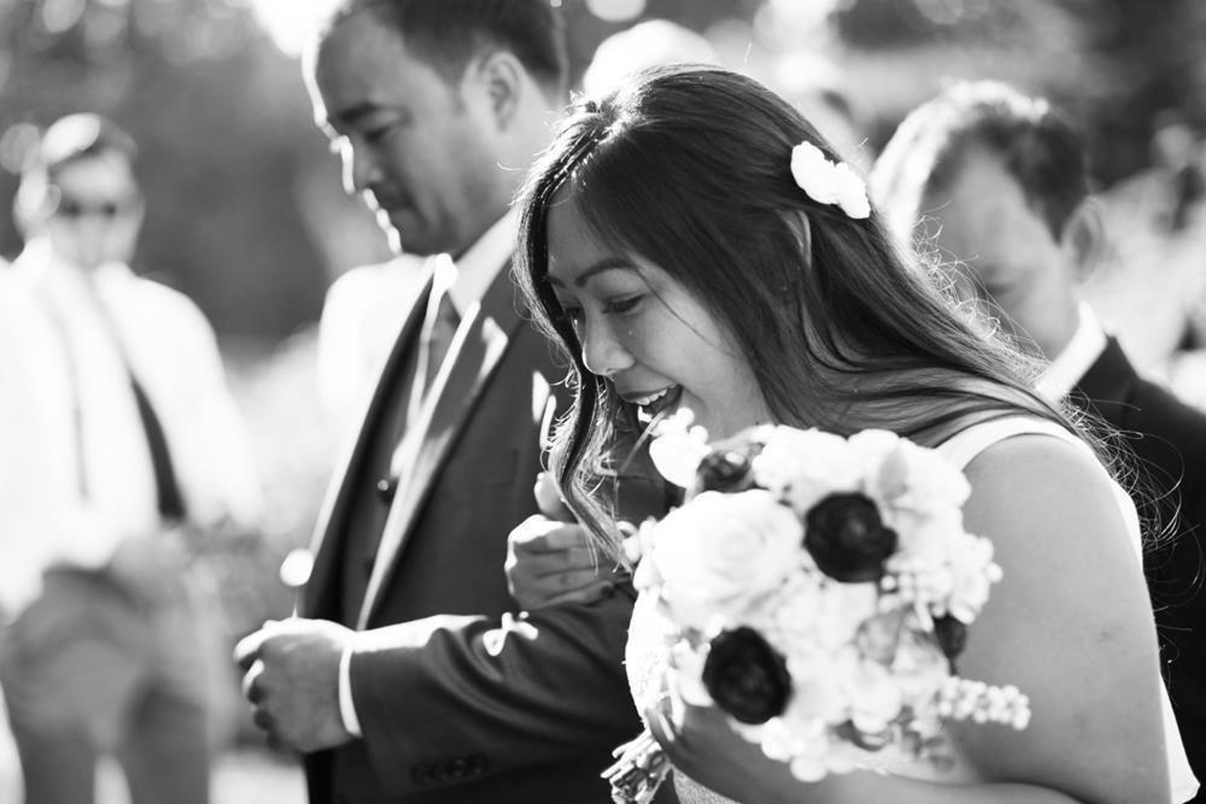 Cover photo of The Carey Gardens