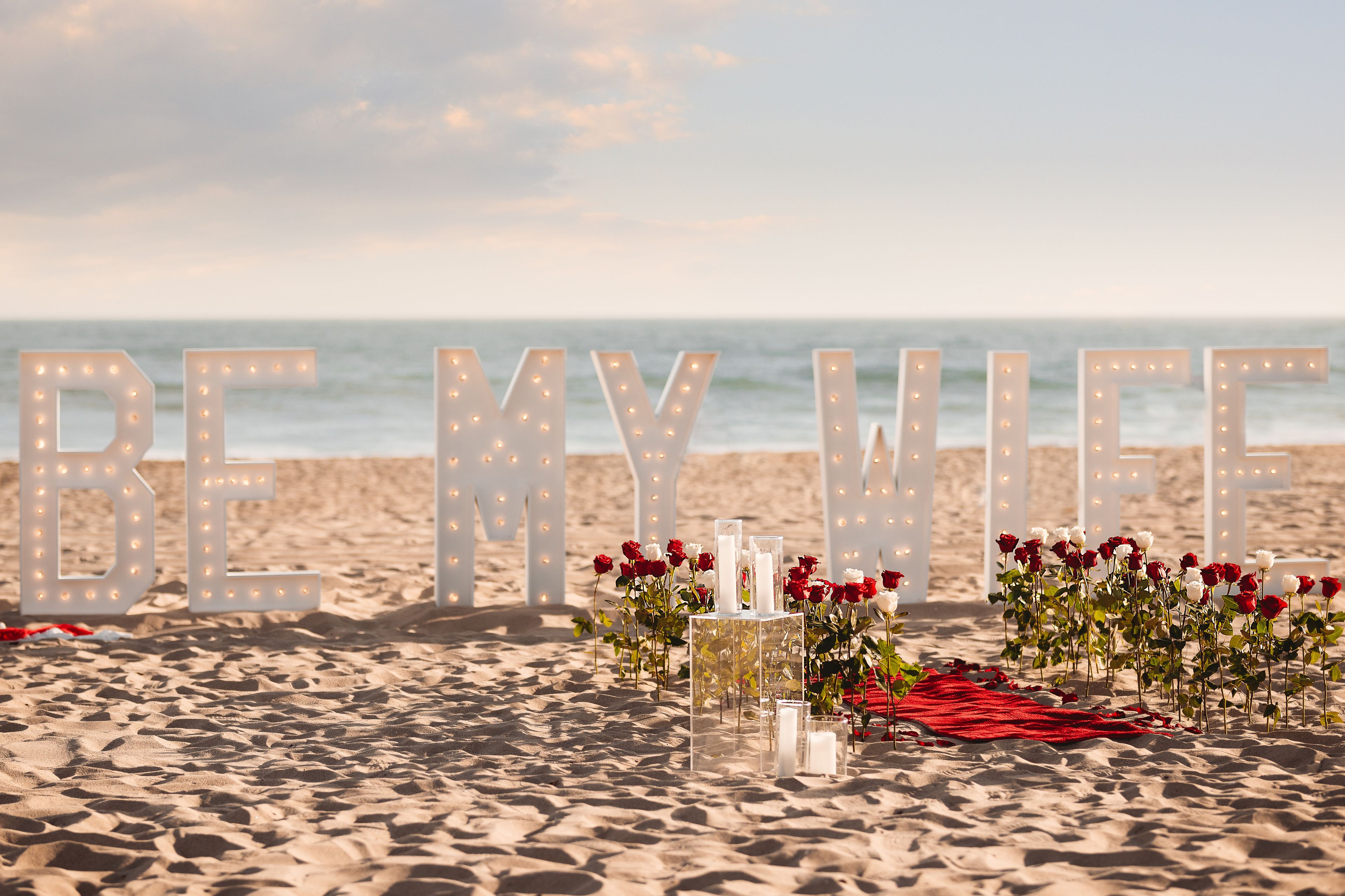 Cover photo of The Moonlight Co.