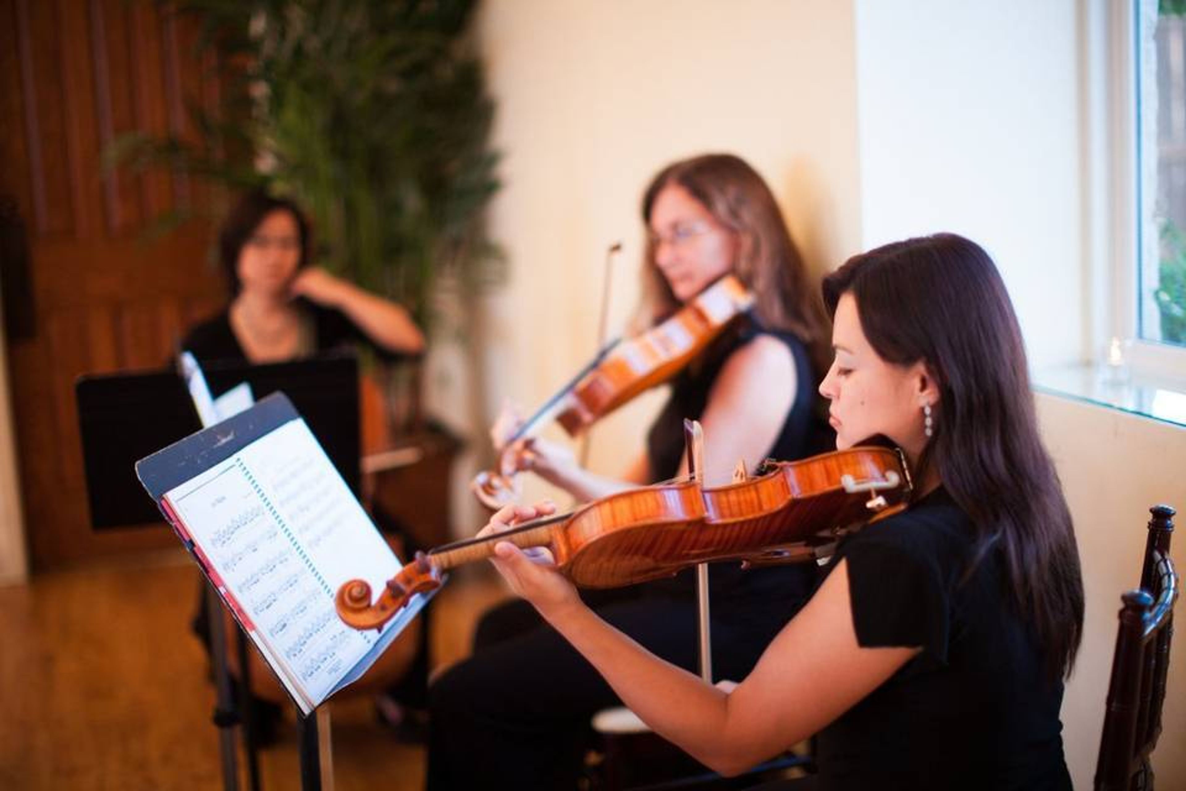 Cover photo of Harmony Strings