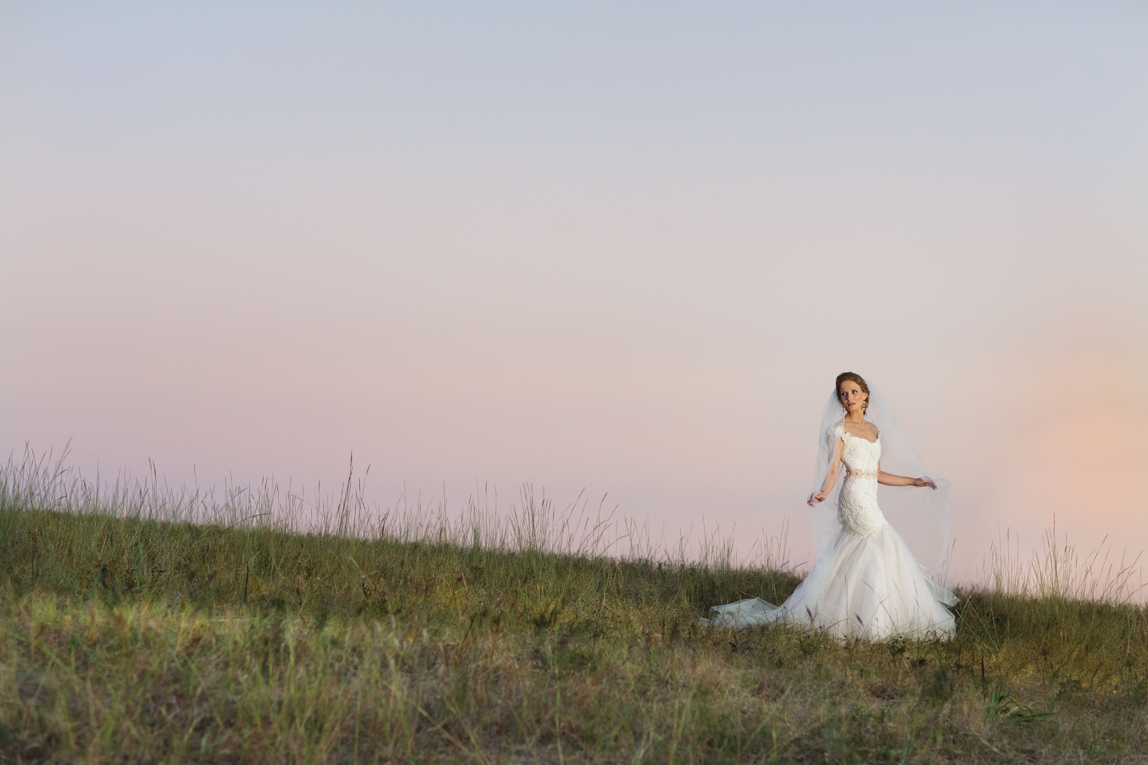 Cover photo of DAVID CHENEY PHOTOGRAPHY