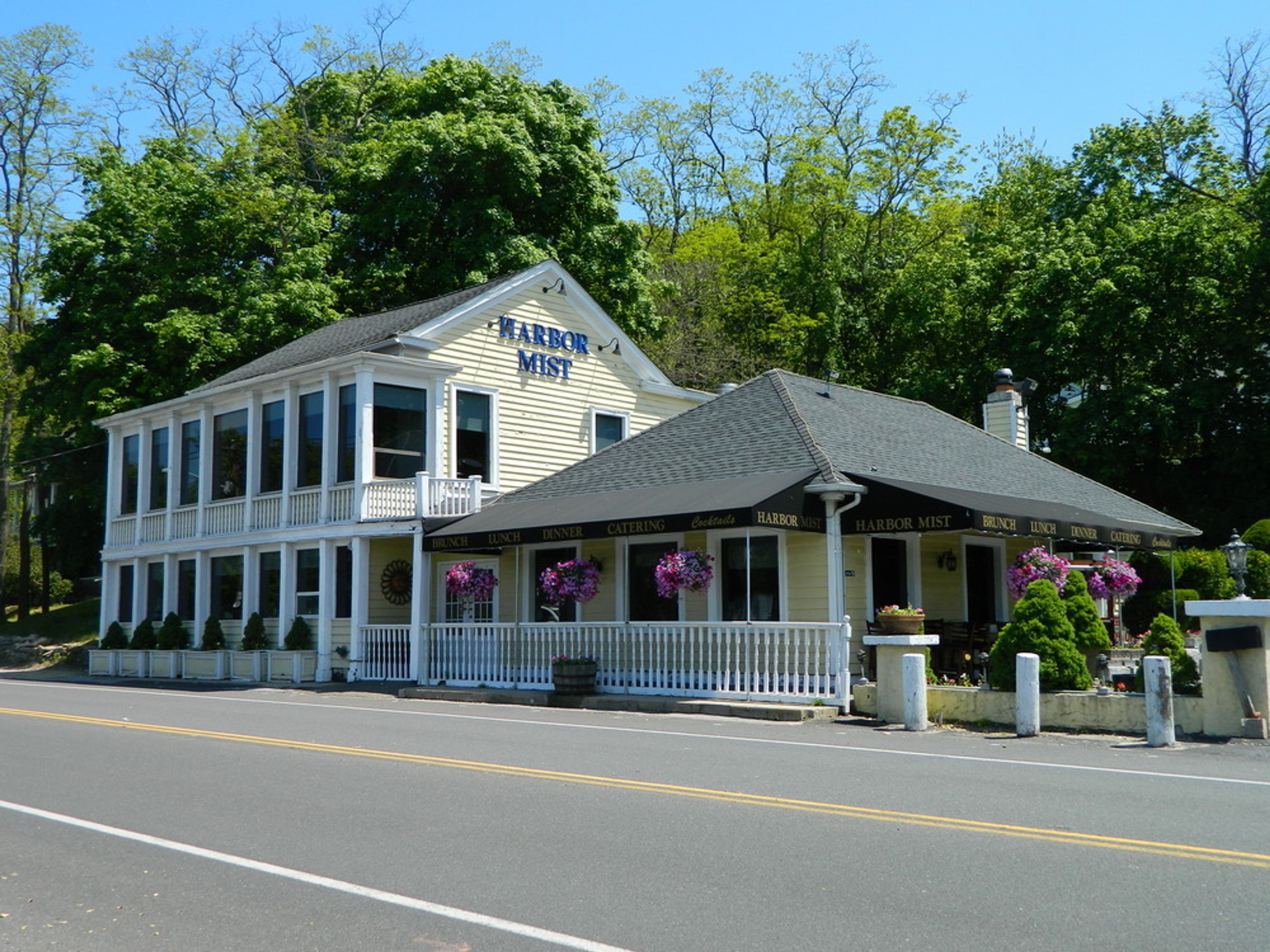 Cover photo of Harbor Mist