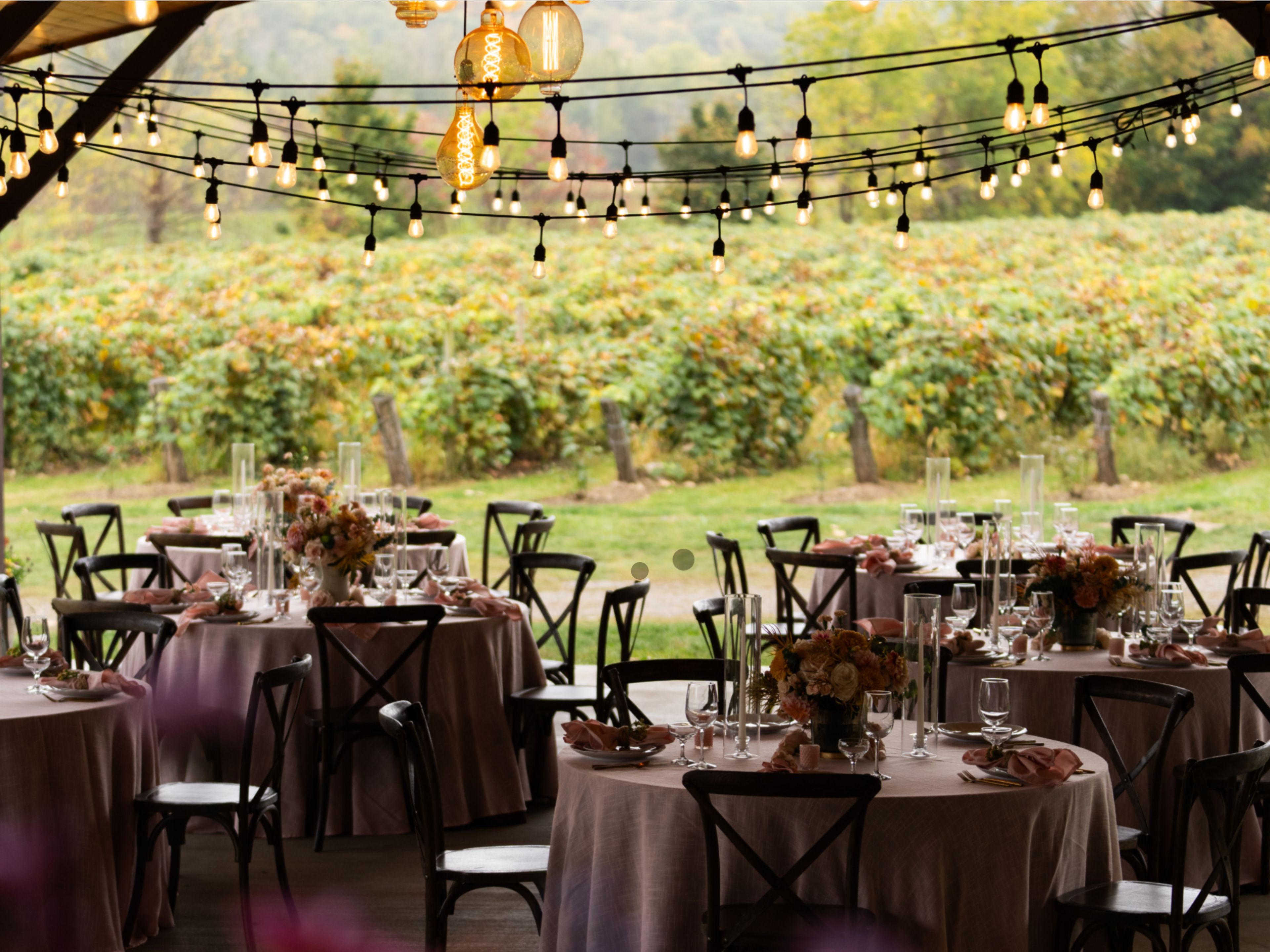 Cover photo of Erin McDonald Co