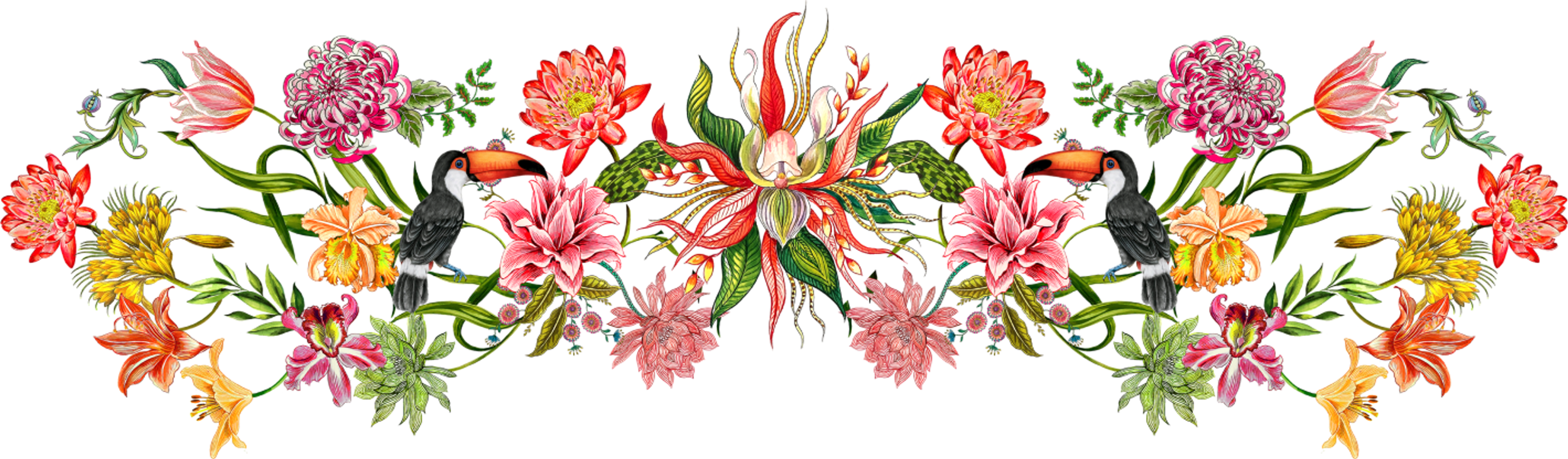 Cover photo of The Ivory Peacock & Ploume