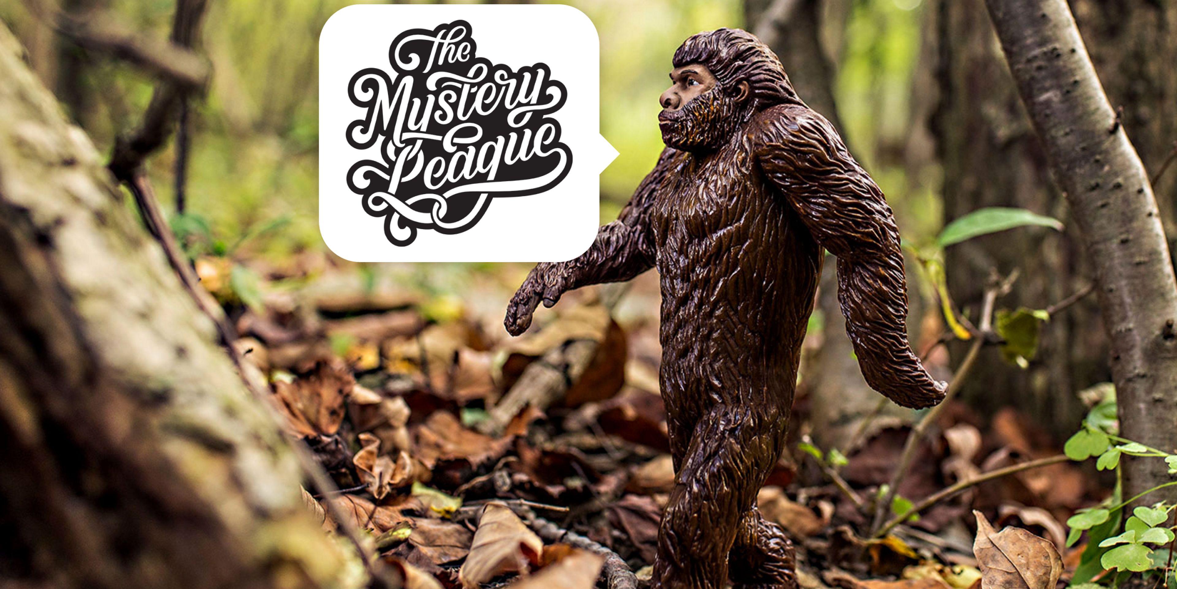 Cover photo of The Mystery League