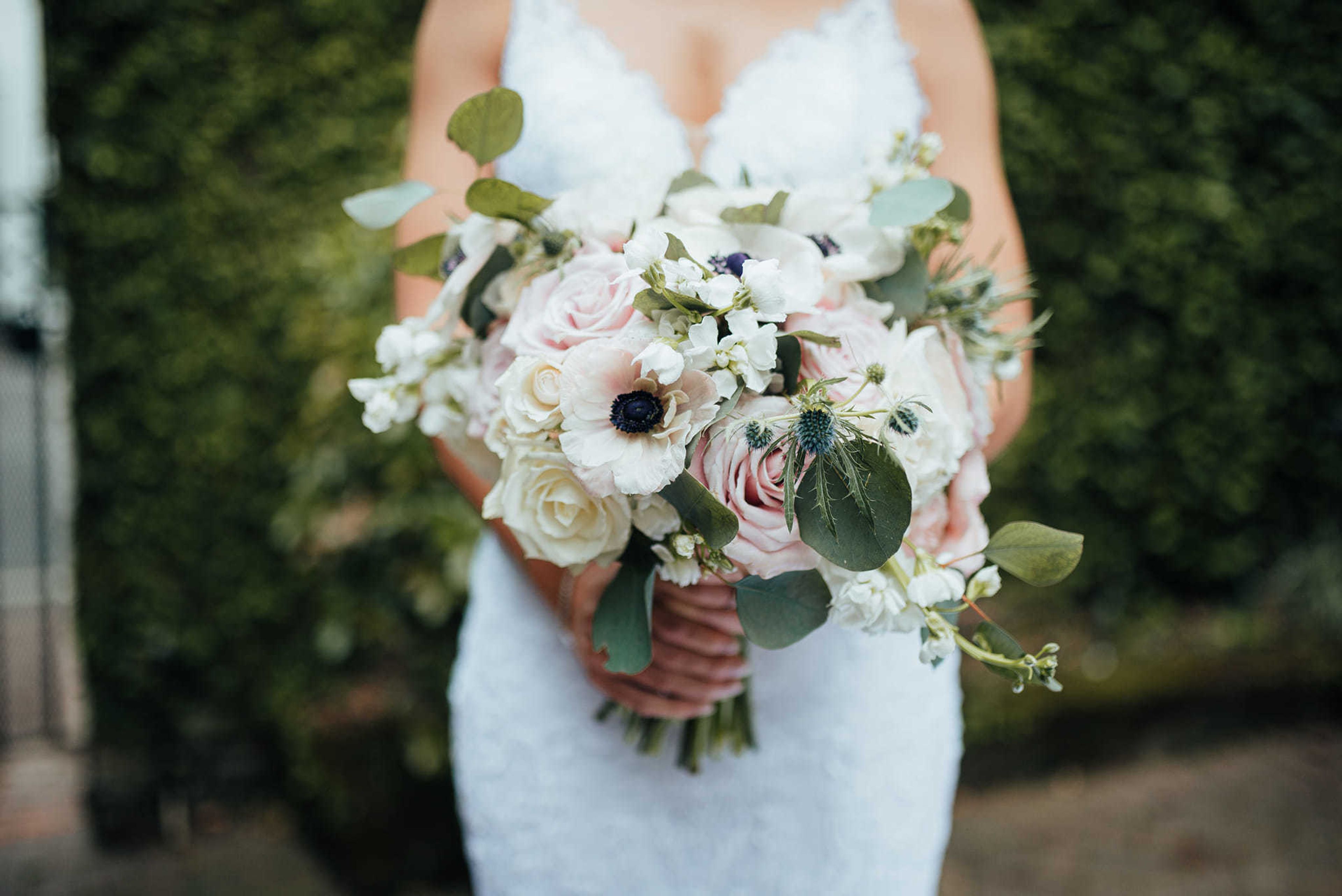 Cover photo of A to Zinnias
