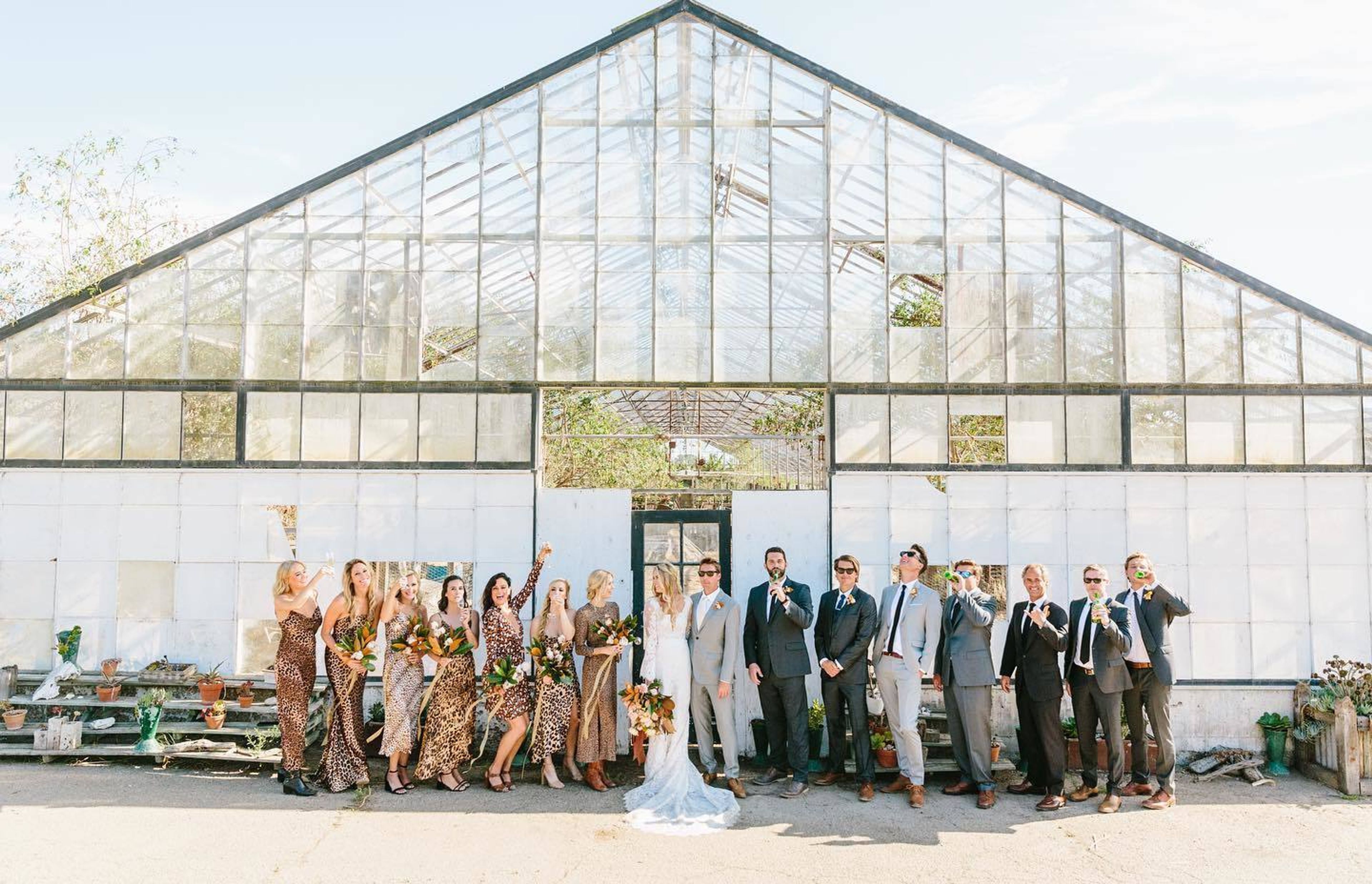 Cover photo of Party Proper