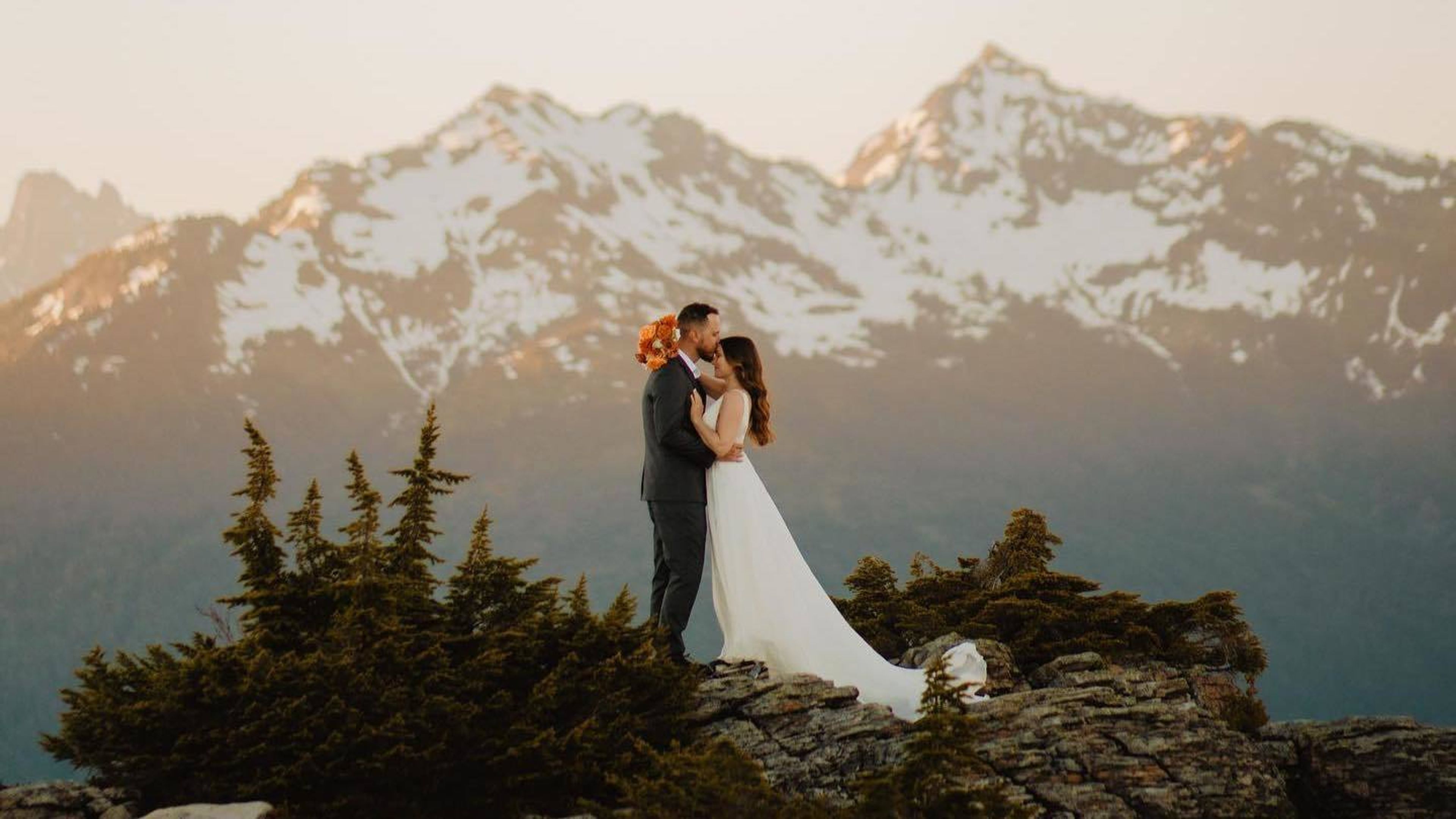 Cover photo of Robbie Negrin