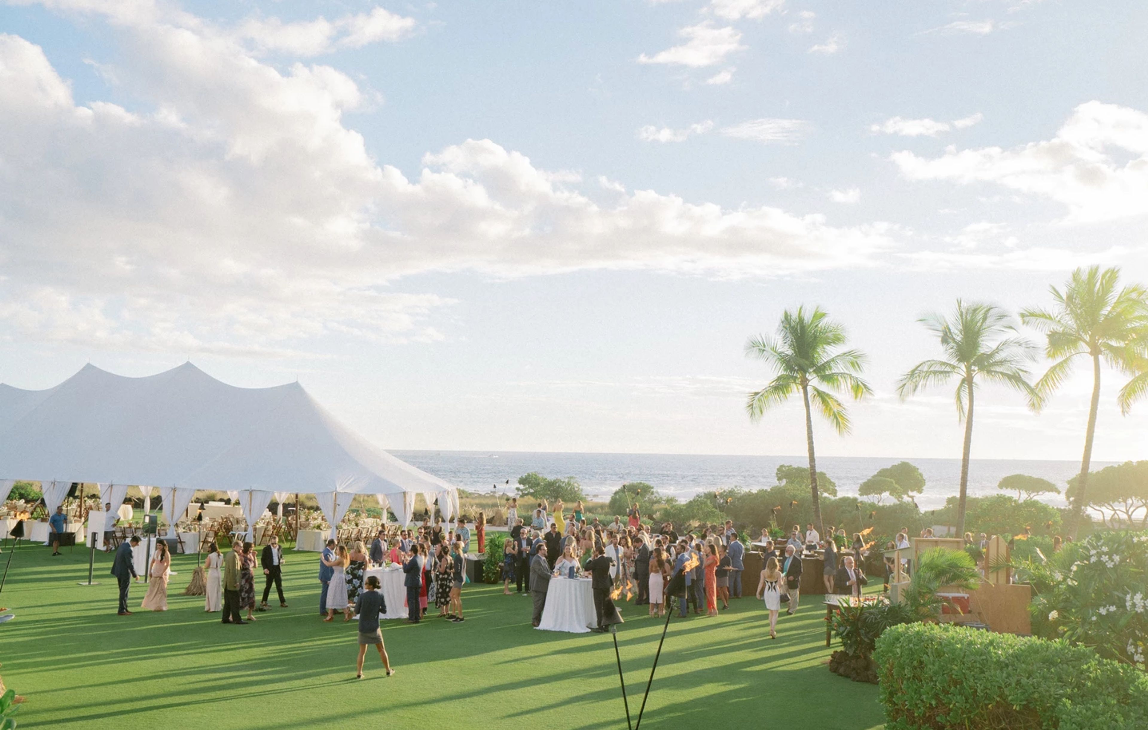 Cover photo of Steve Steinhardt