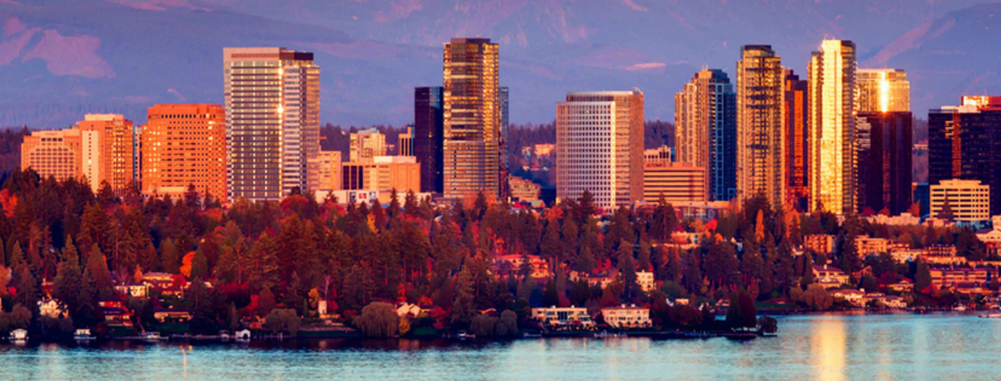 Cover photo of Hotel 116