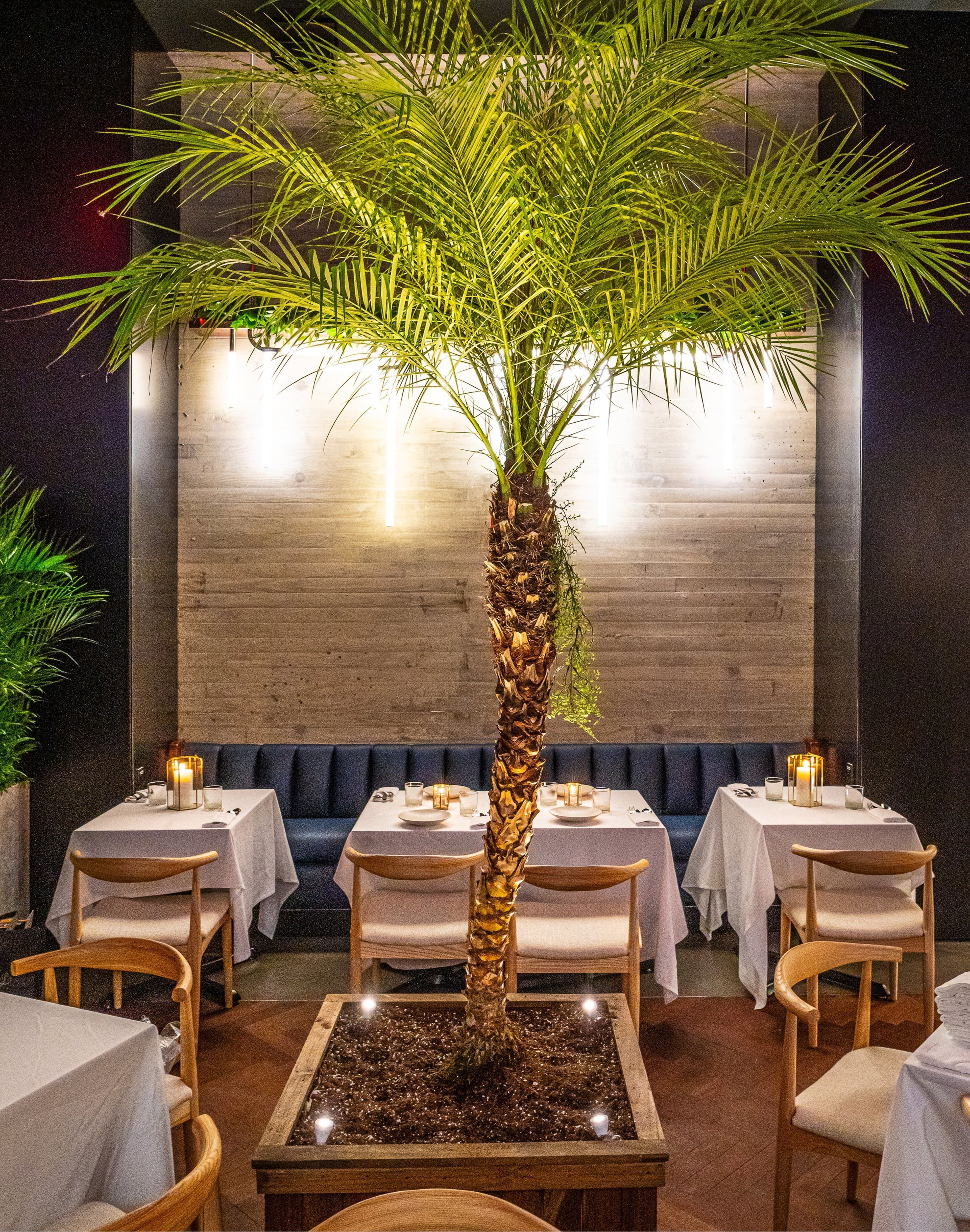 Cover photo of Isla & Co Midtown