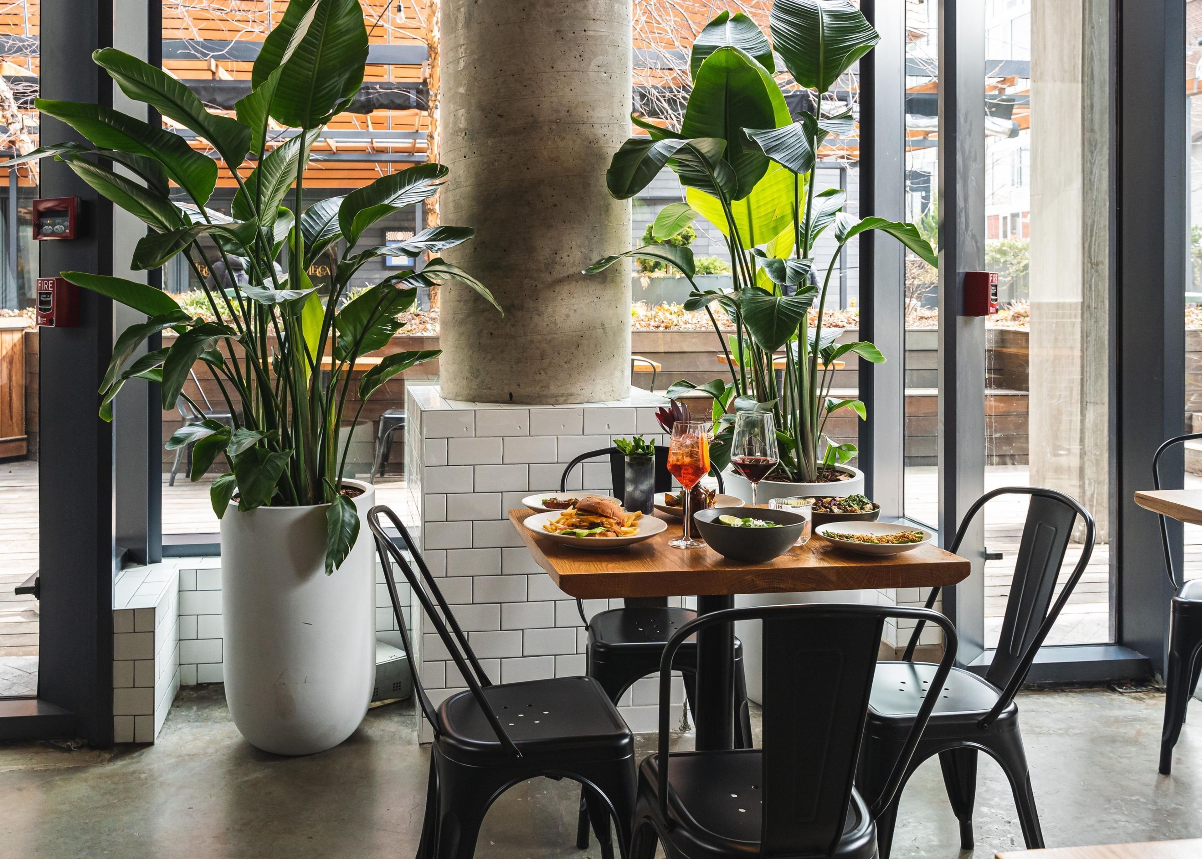 Cover photo of Isla & Co Williamsburg