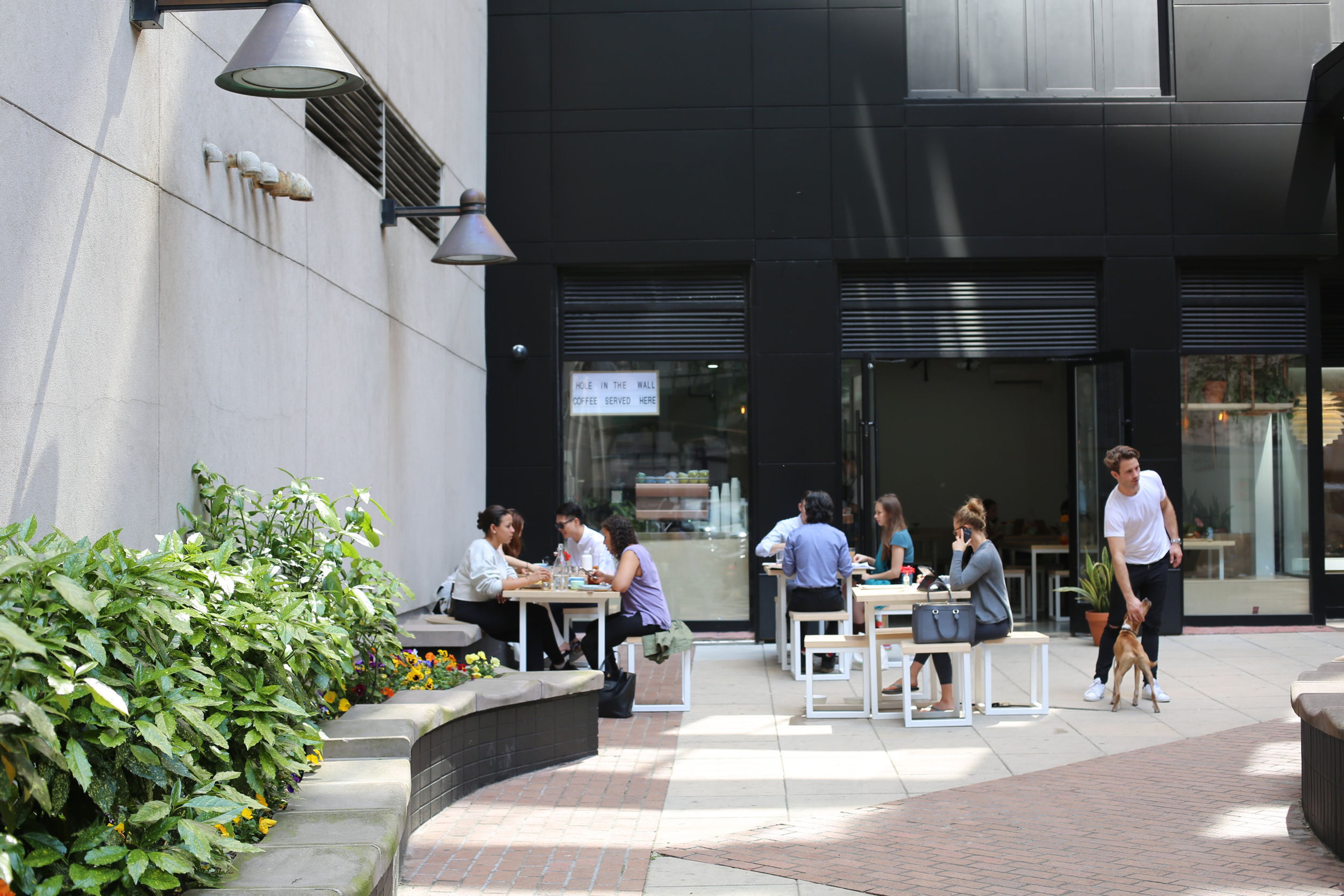 Cover photo of Hole In The Wall Financial District