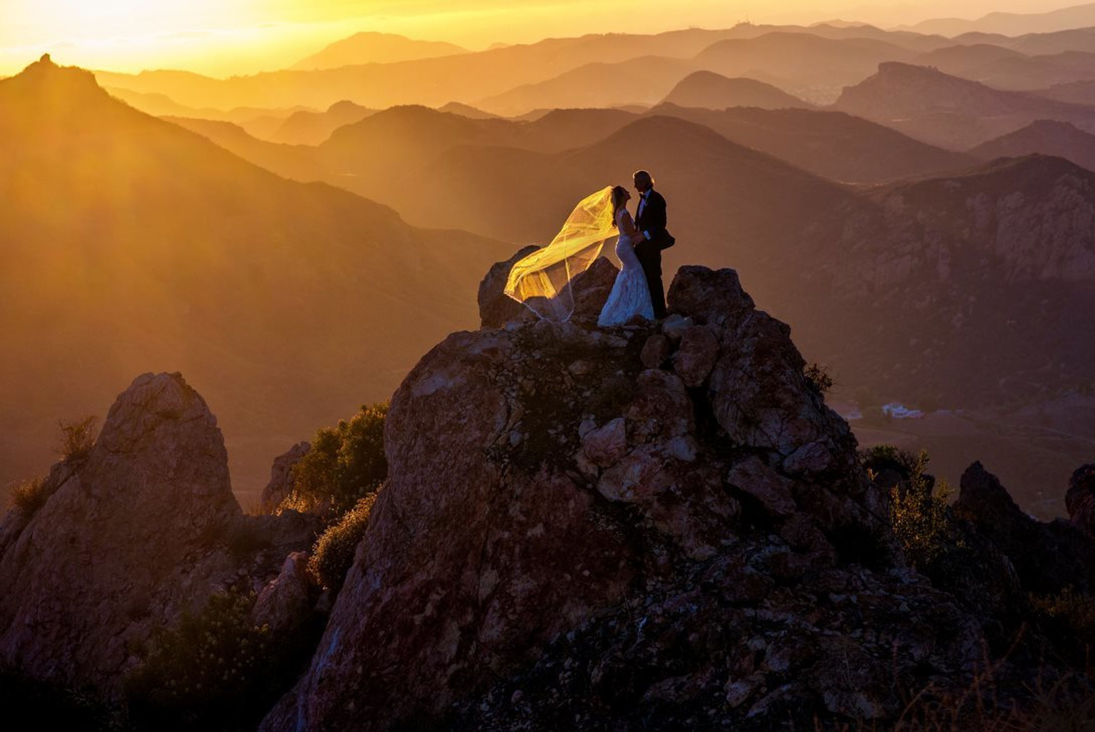 Cover photo of Brett Butterstein