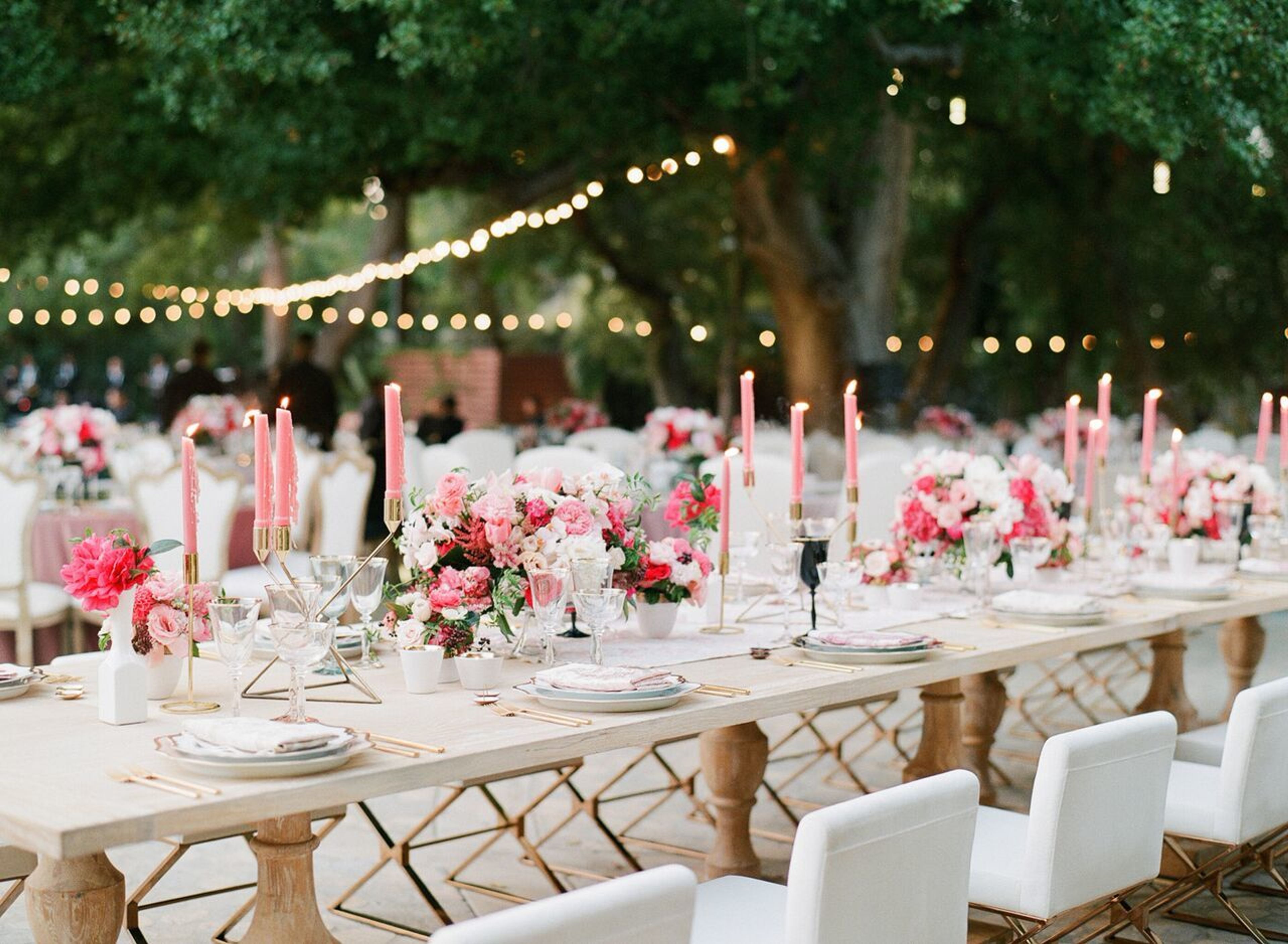 Cover photo of Amorology