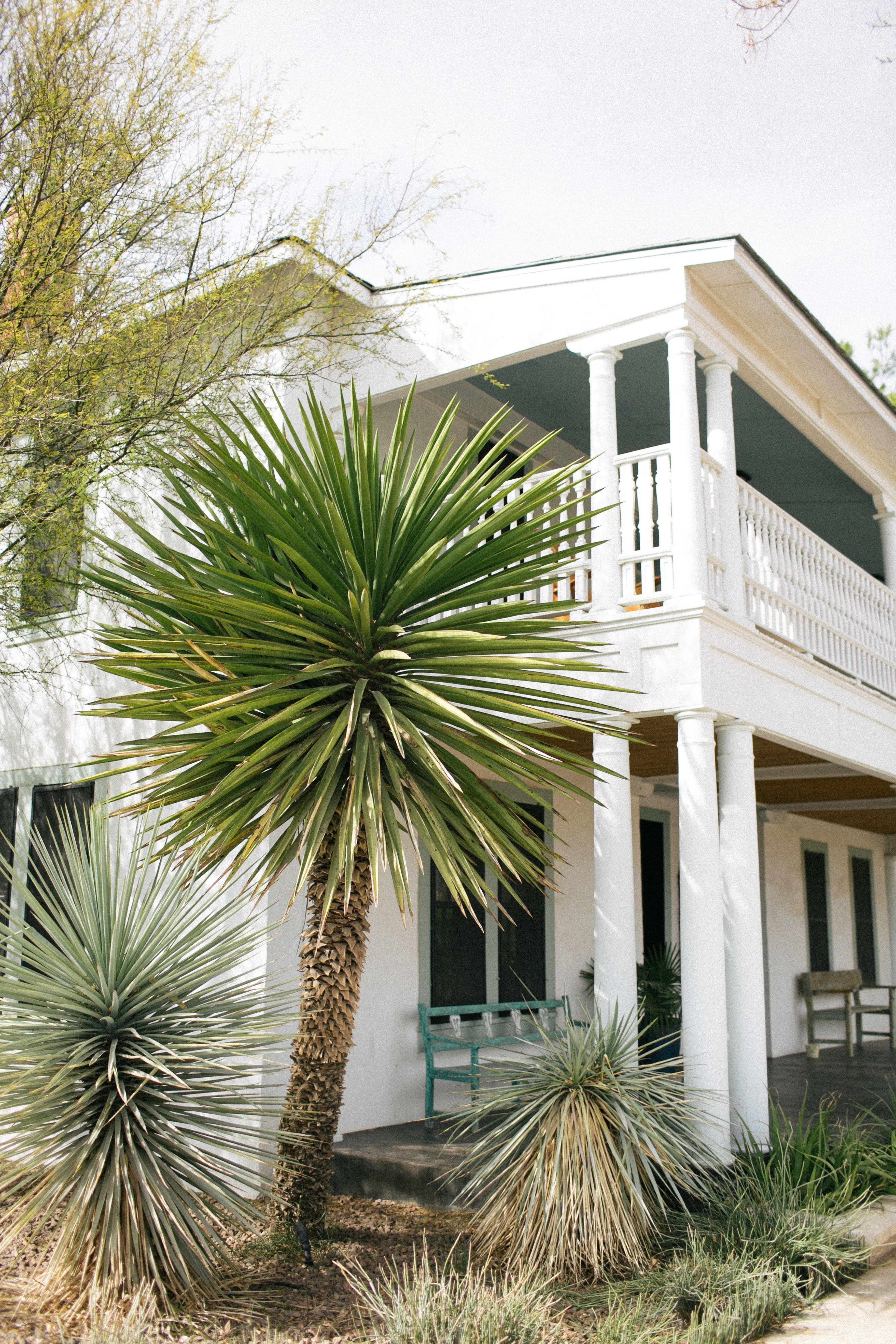Cover photo of The Gage Hotel
