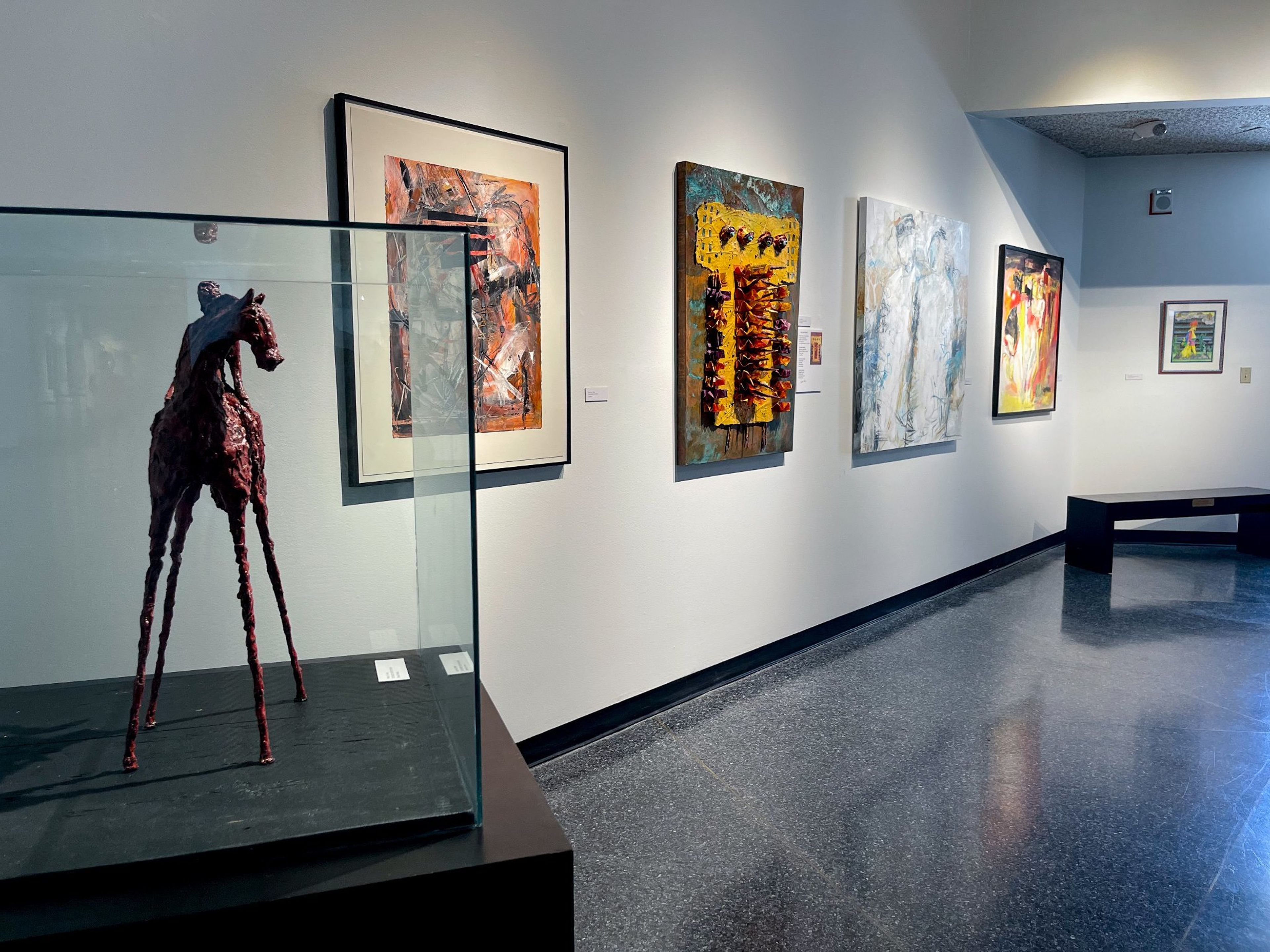 Cover photo of The Museum of Arts & Sciences