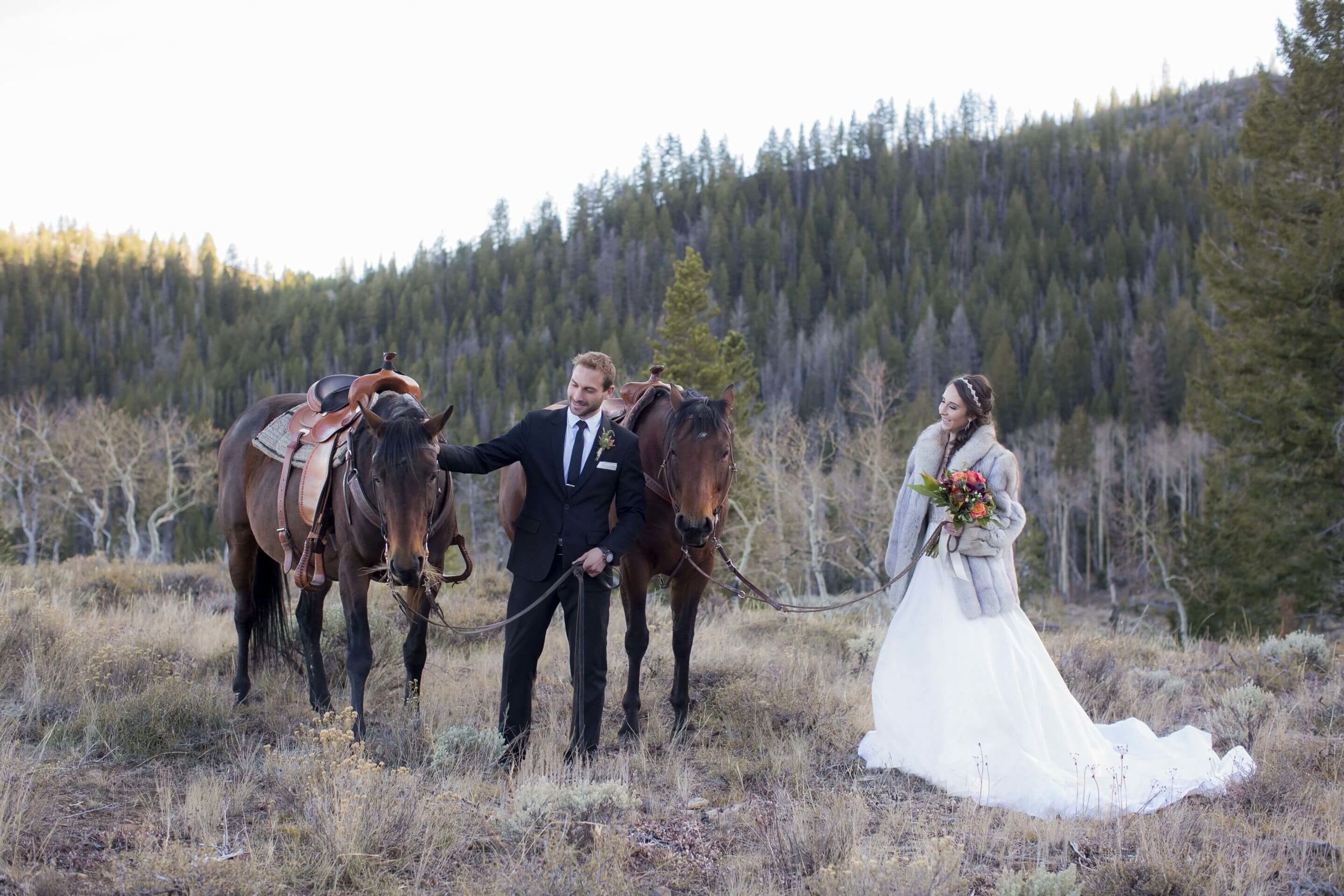 Cover photo of Antler Basin Ranch