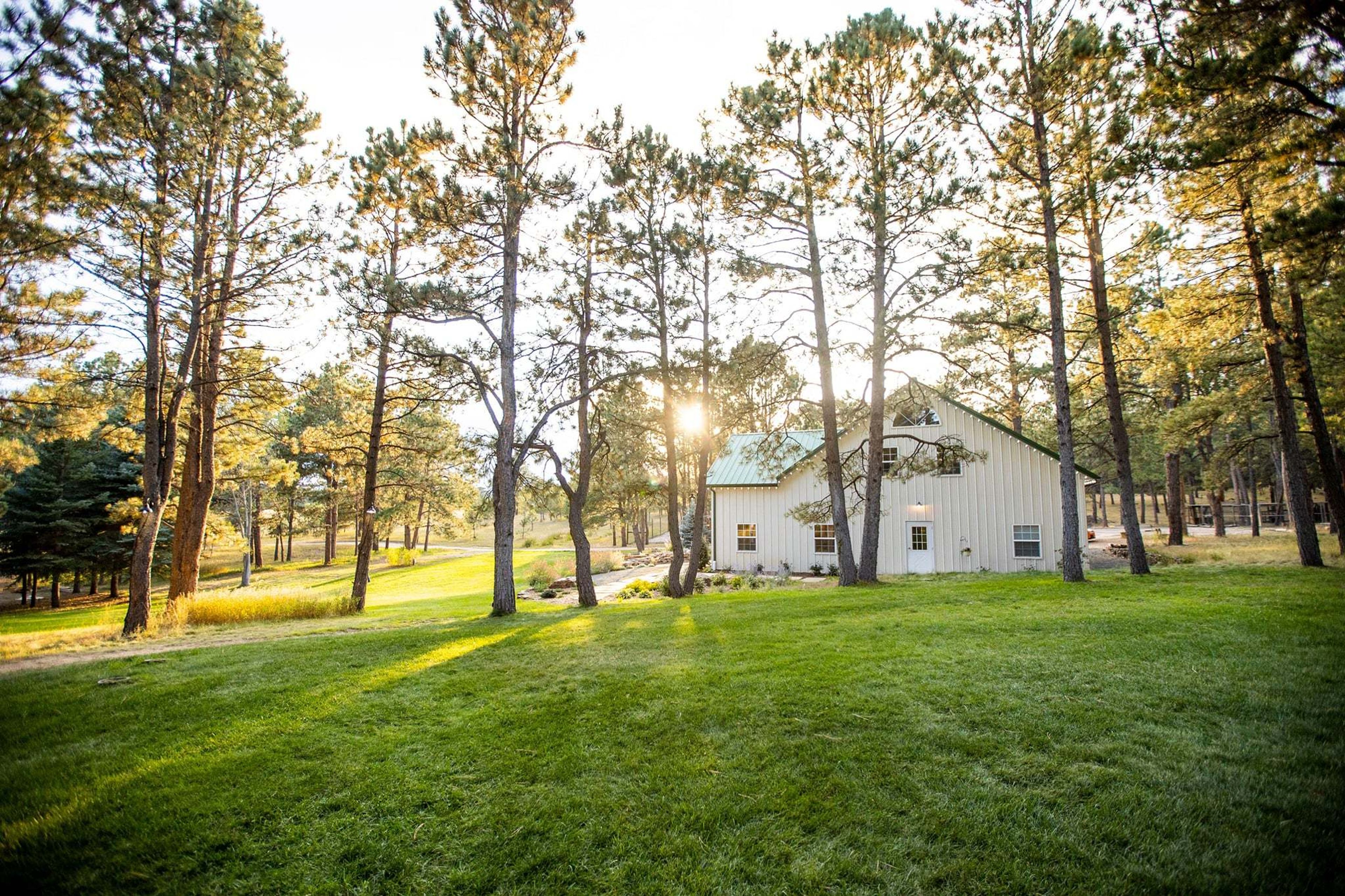 Cover photo of Black Forest Meadows