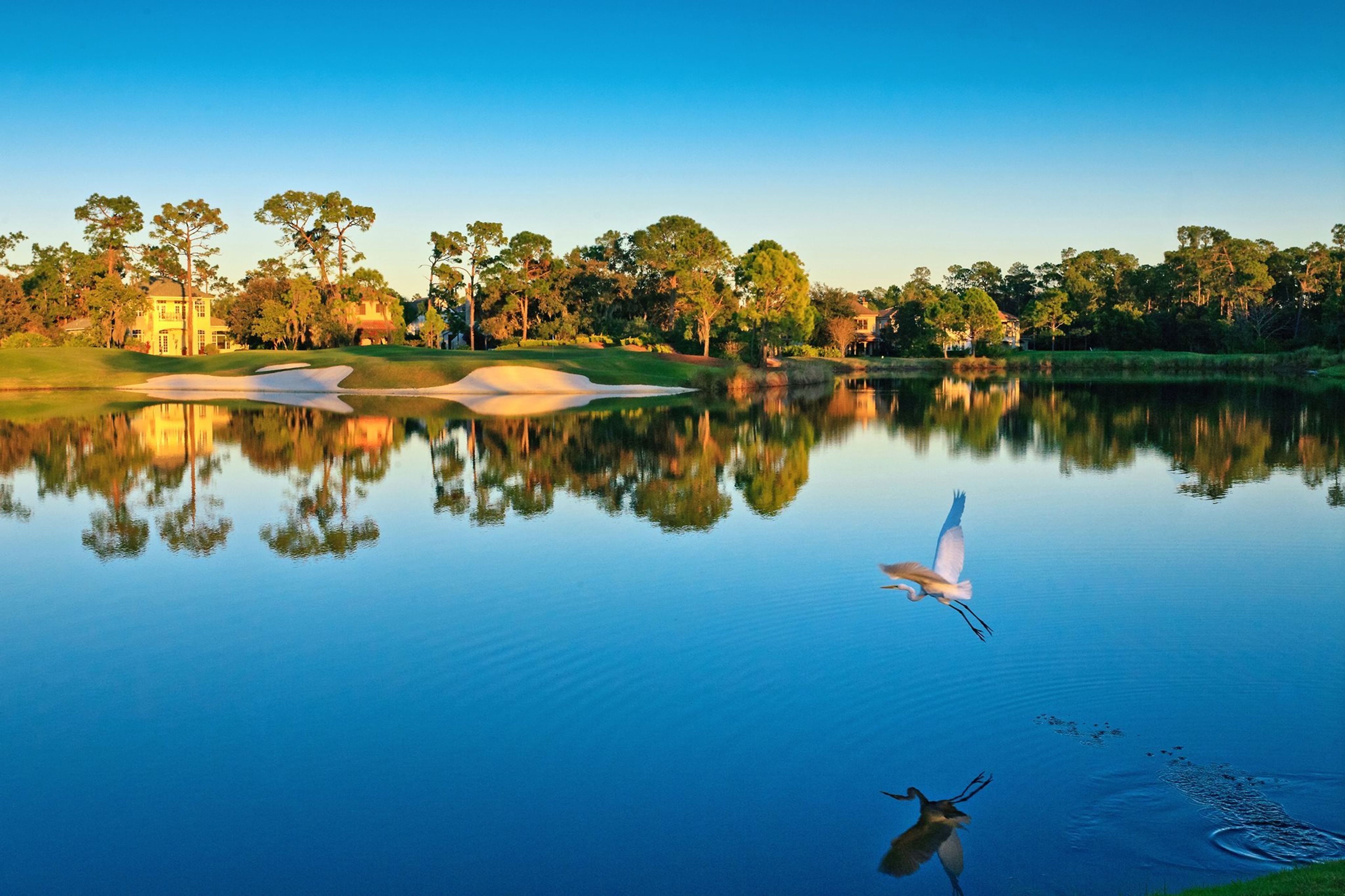 Cover photo of Lake Nona Golf & Country Club