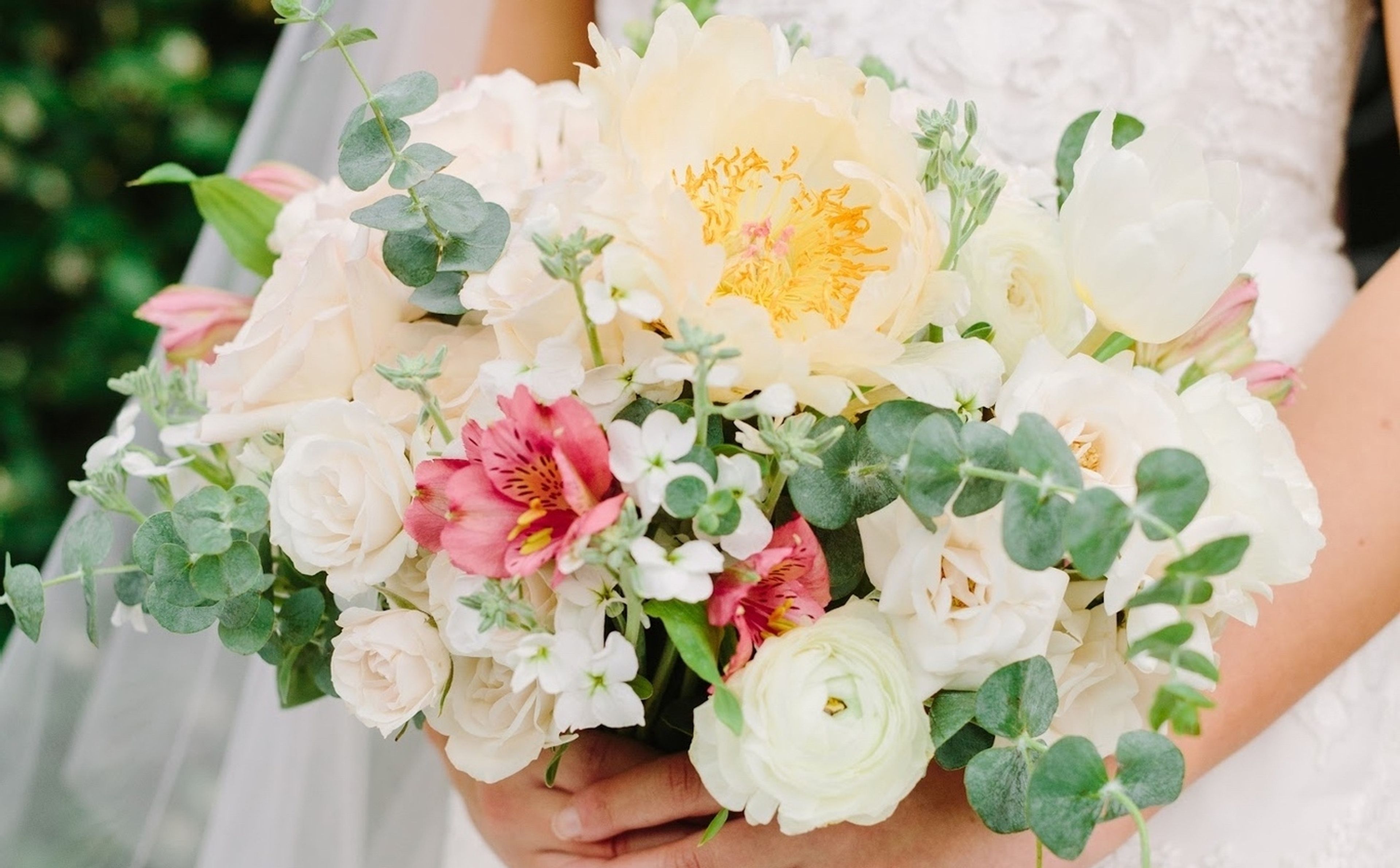 Cover photo of Moonlight Iris Designs