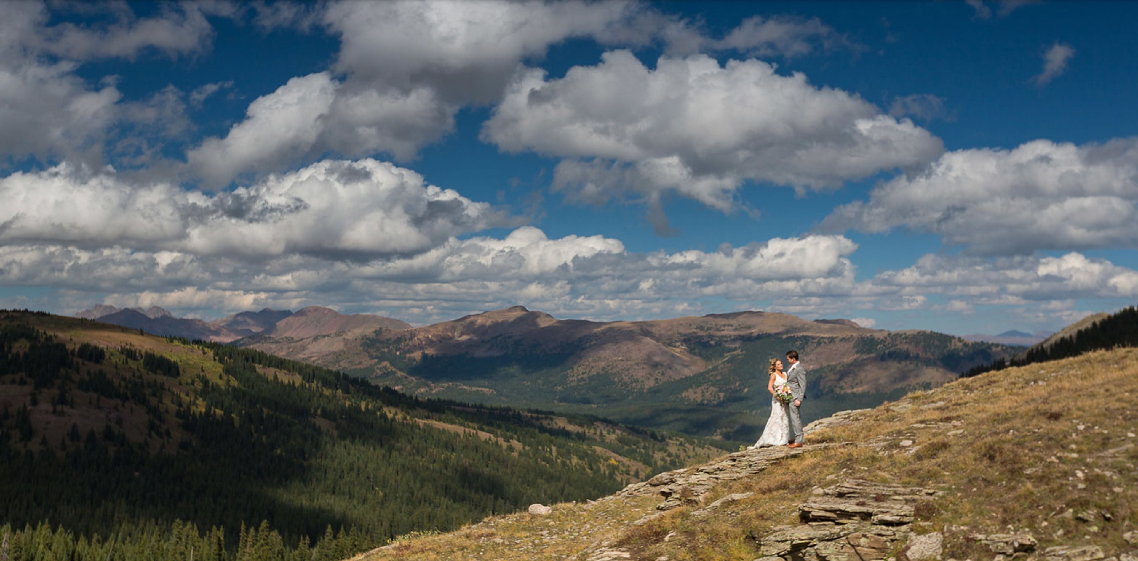 Cover photo of Snapdragon Celebrations