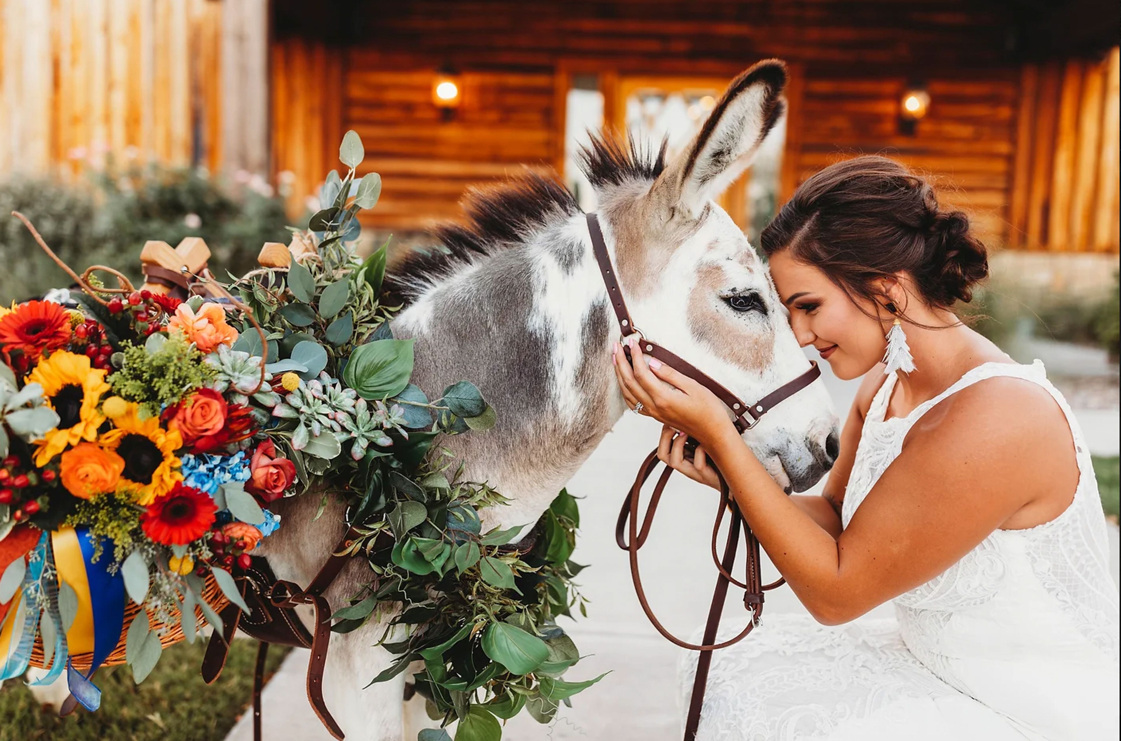 Cover photo of Sweet Ass Servers