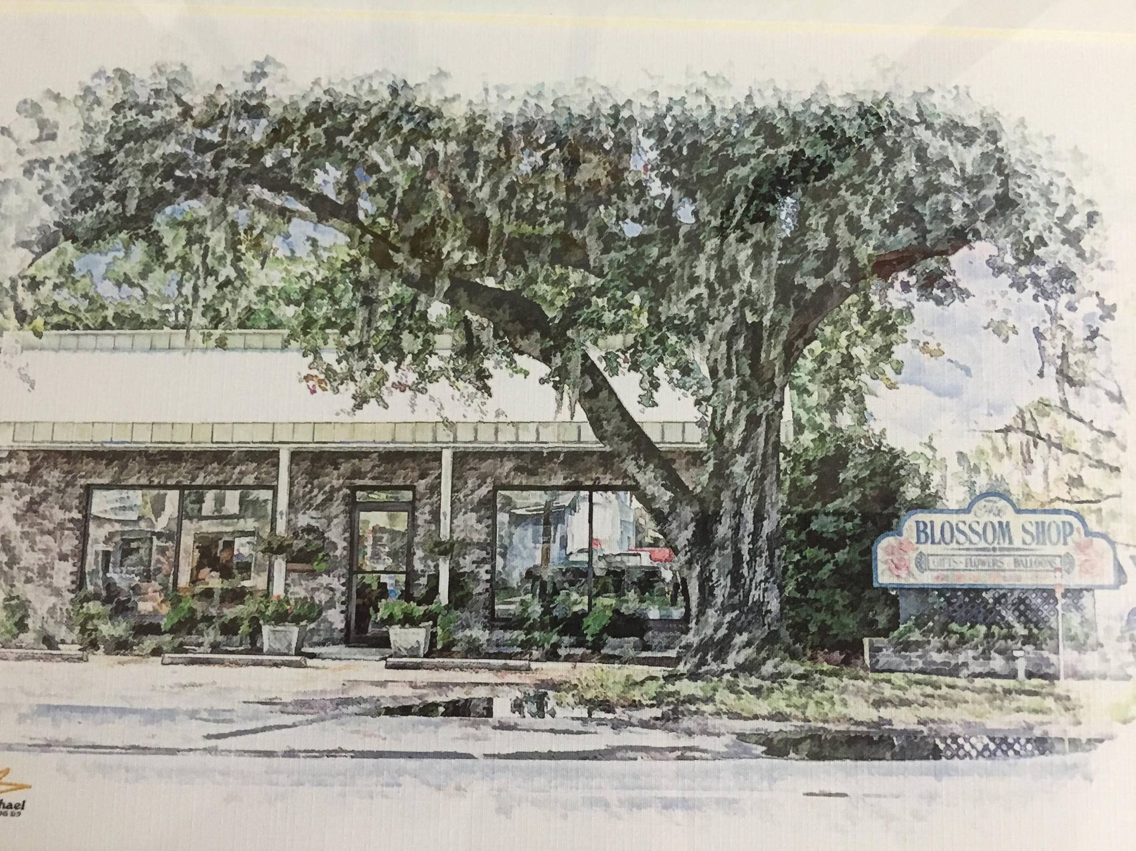 Cover photo of The Blossom Shop