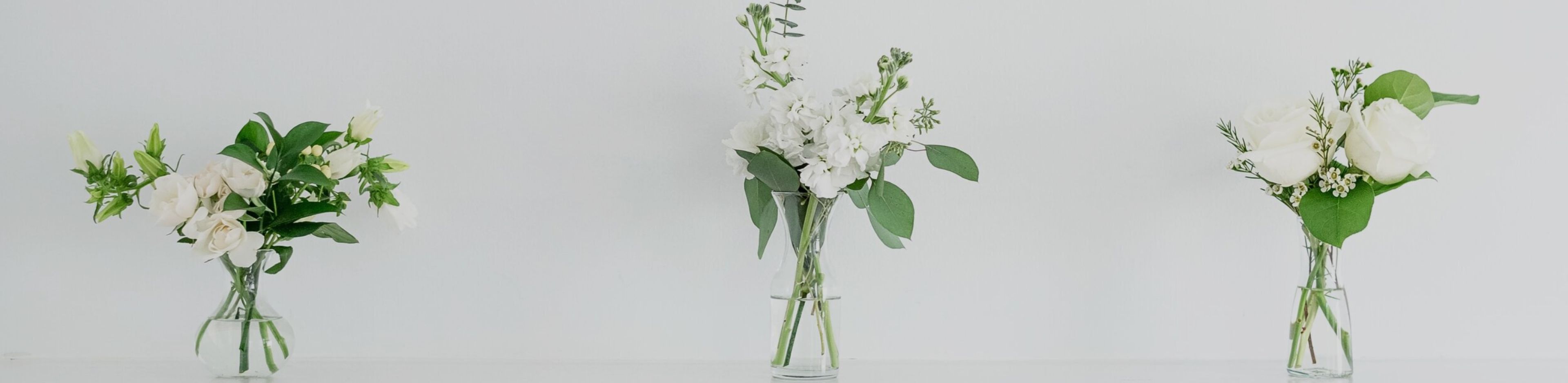 Cover photo of Modern Floral