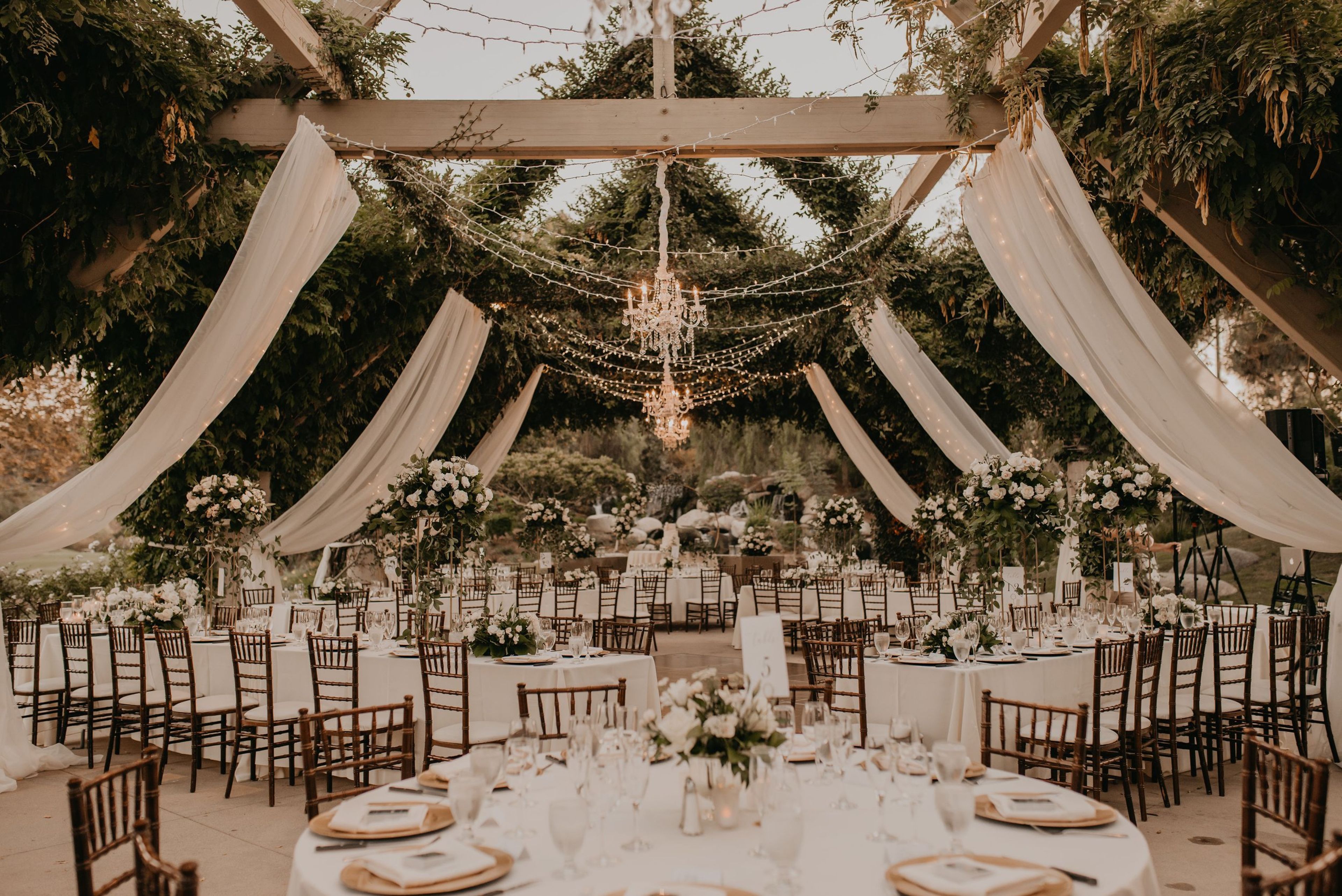 Cover photo of NPD Events