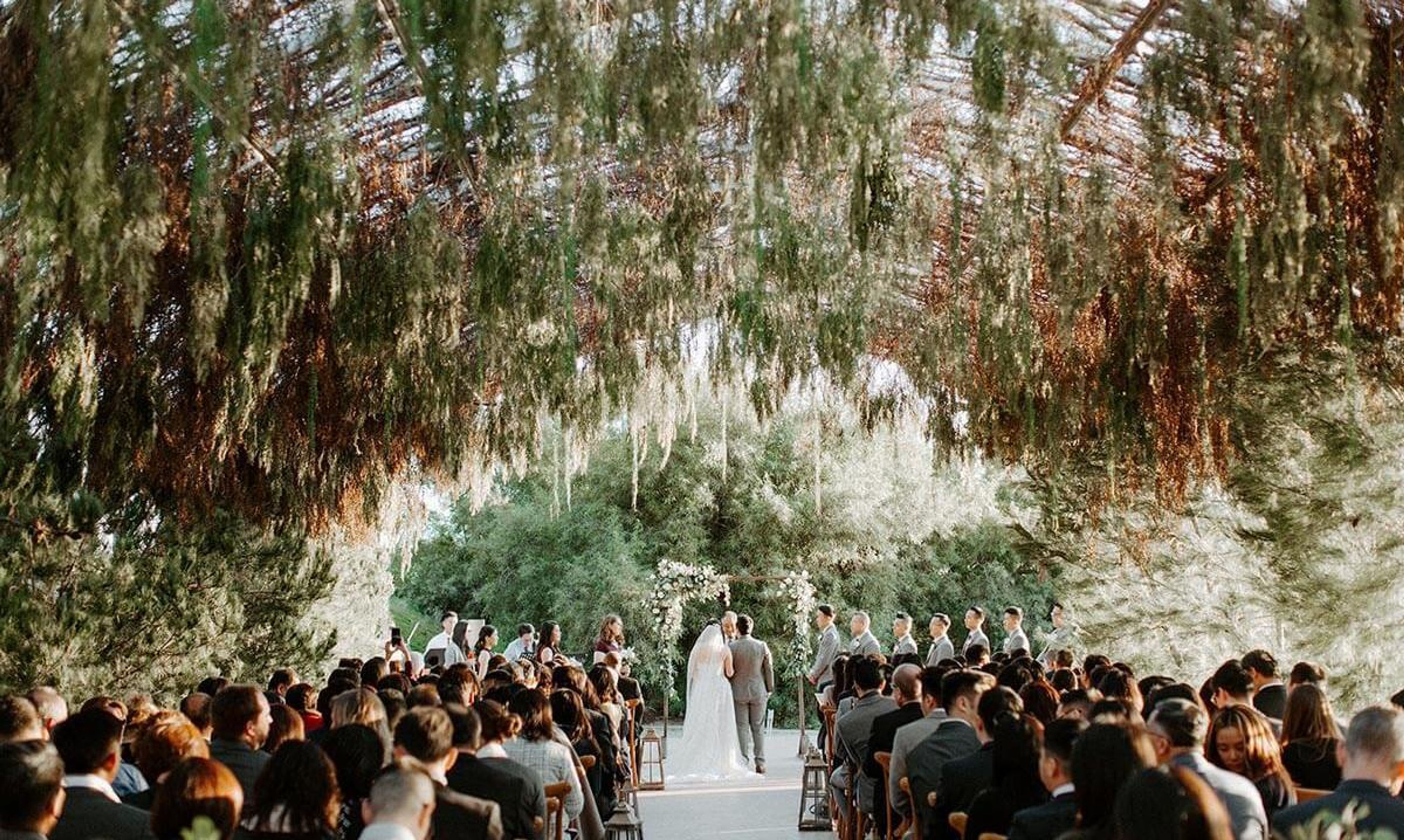 Cover photo of Ethereal Gardens