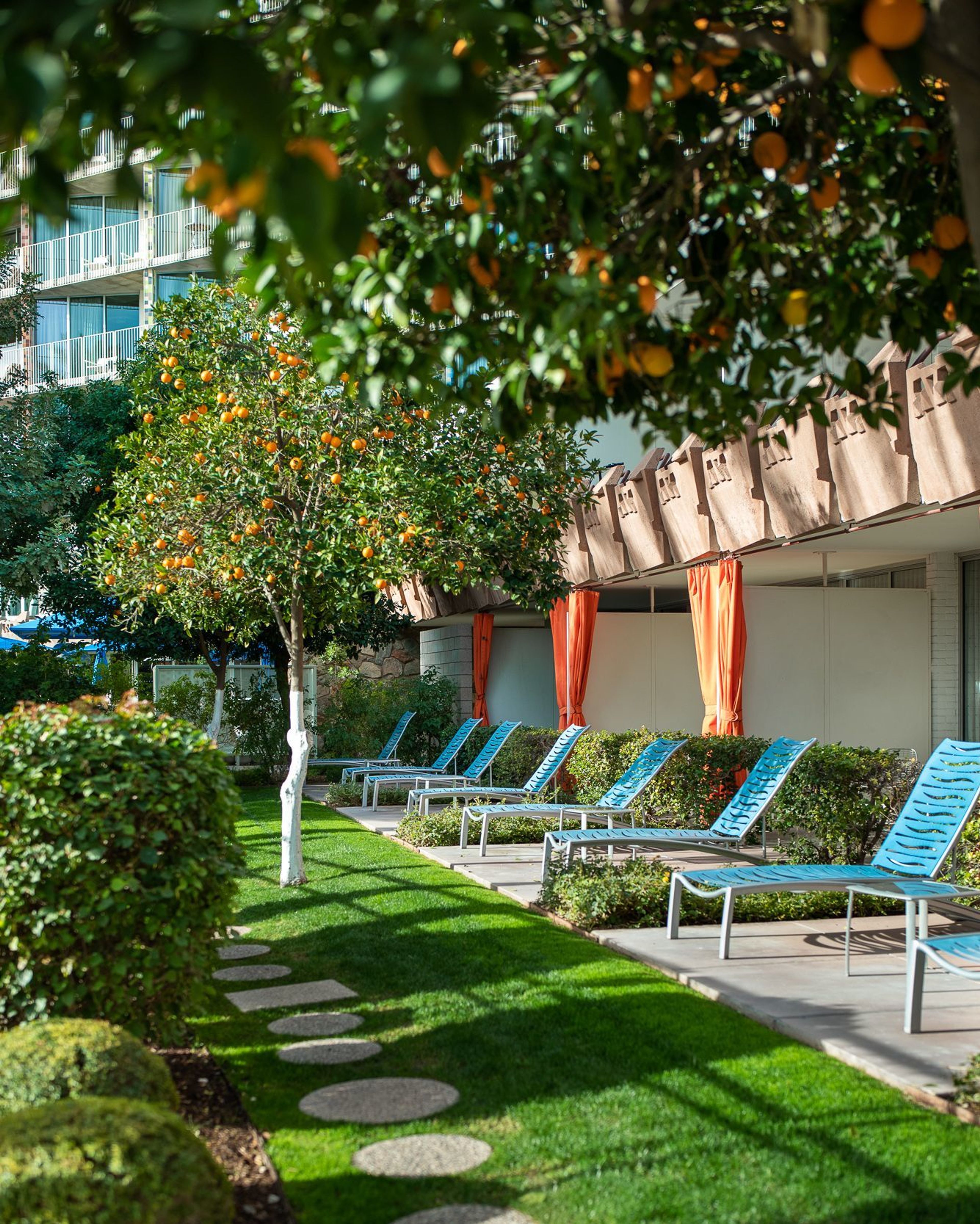 Cover photo of Hotel Valley Ho